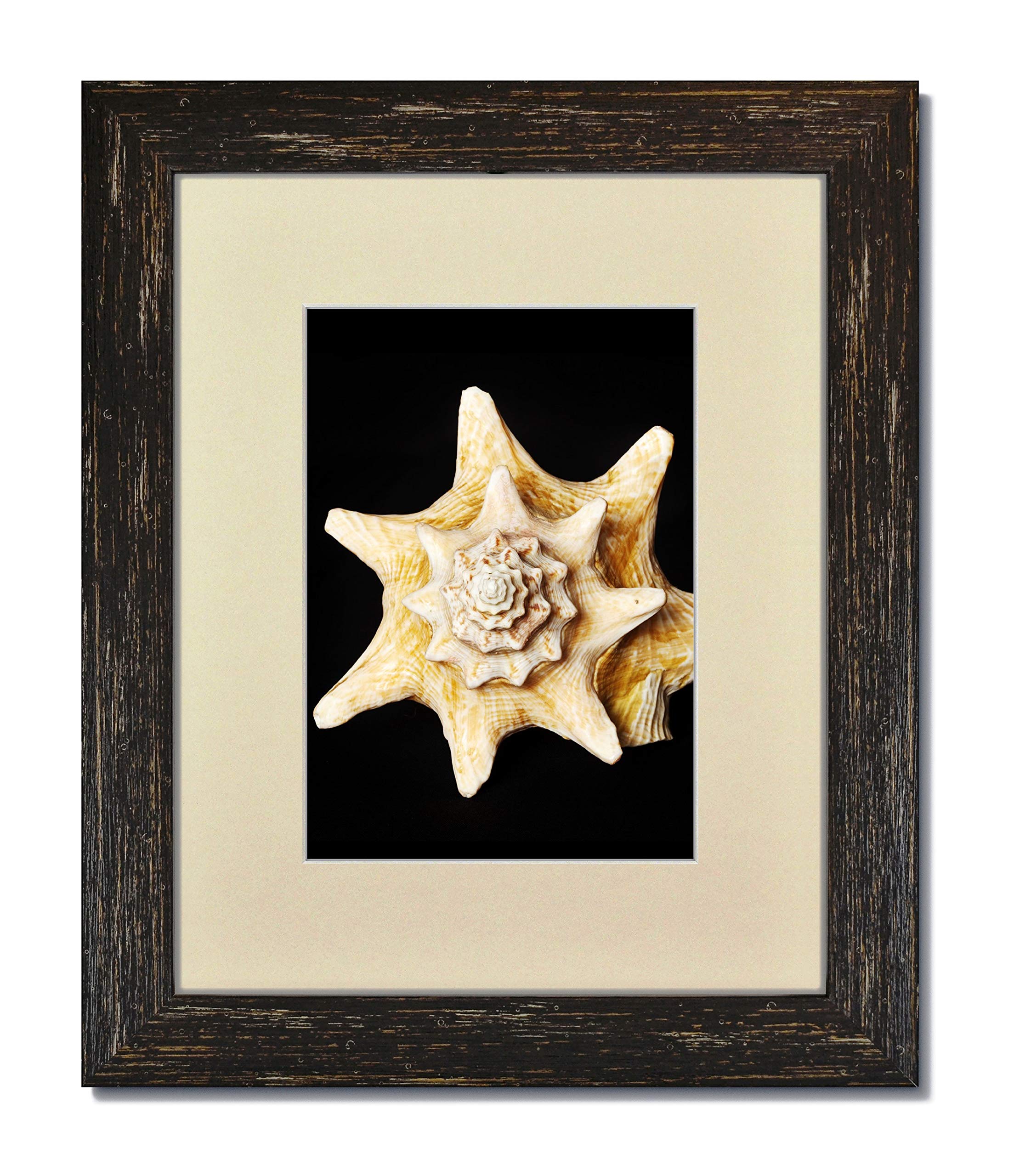 6-Pack 11x14 Black Photo Frames with Clear Glass & Warm White Mat for 8x10 Pictures - Perfect for Home Decor, Office Display, and Gift Giving
