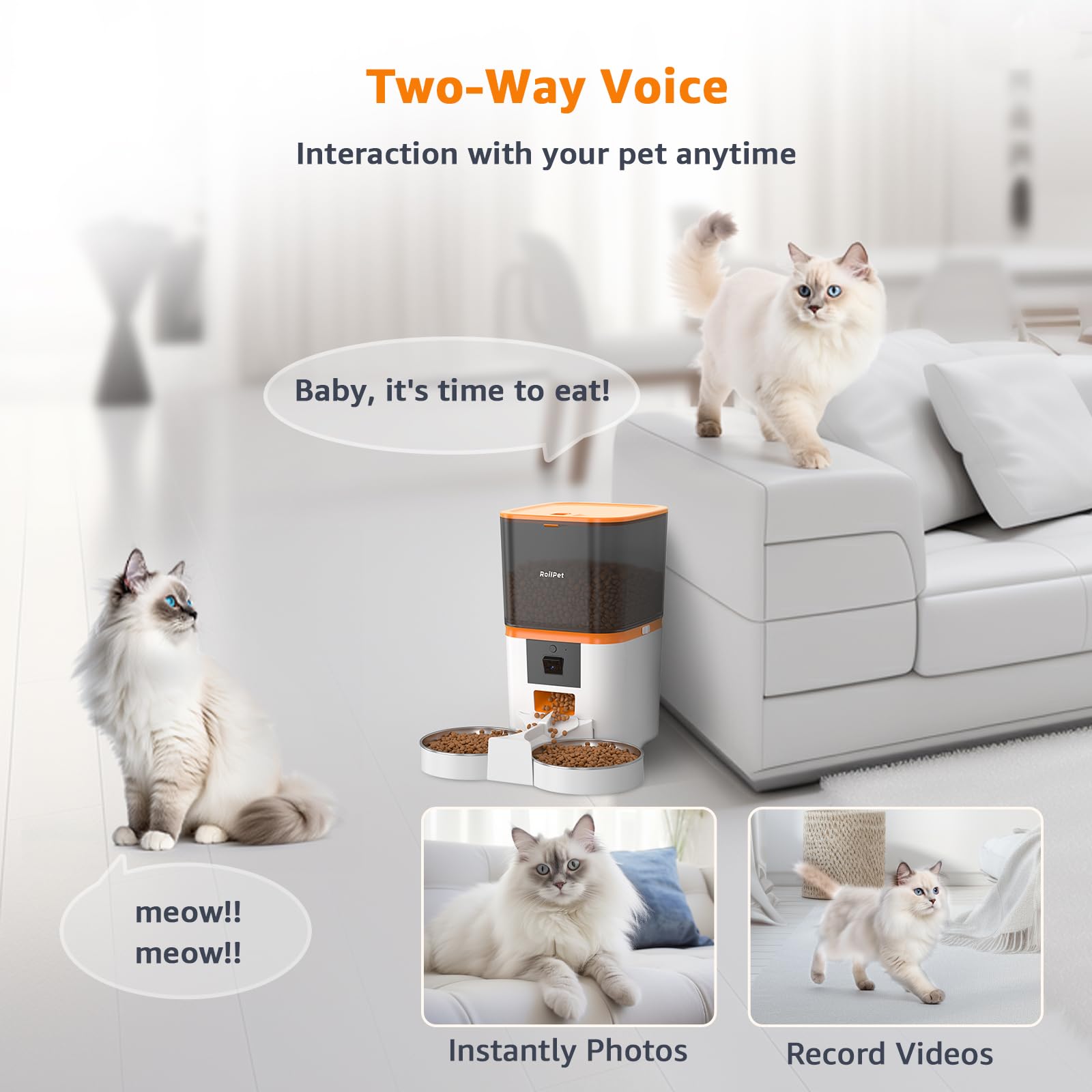 Smart Automatic Cat Feeder with Adjustable Camera - 6L Capacity, 5G WiFi, 1080P HD Video & Night Vision for 2 Cats | 2-Way Audio, Food Blockage & Motion Alerts | Perfect for Pet Owners Who Travel or Work Long Hours