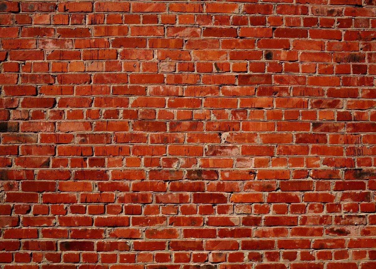 Red Brick Wall Backdrop 5x3ft - Baby Birthday Party Decor
