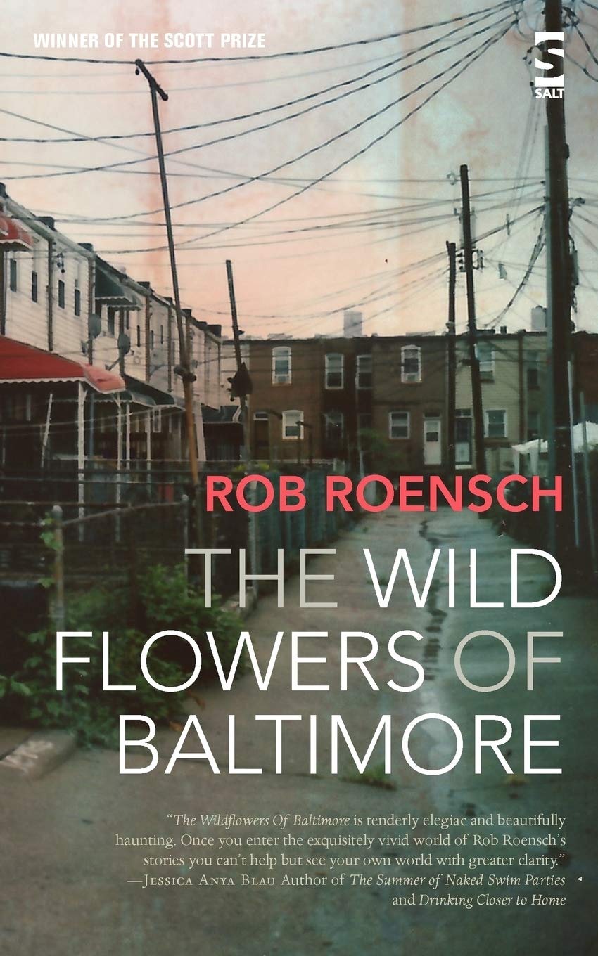 Wild Flowers of Baltimore - Native Maryland Blooms for Gardens, Landscaping & Floral Arrangements
