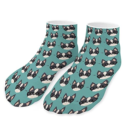 Boston Terrier Dog