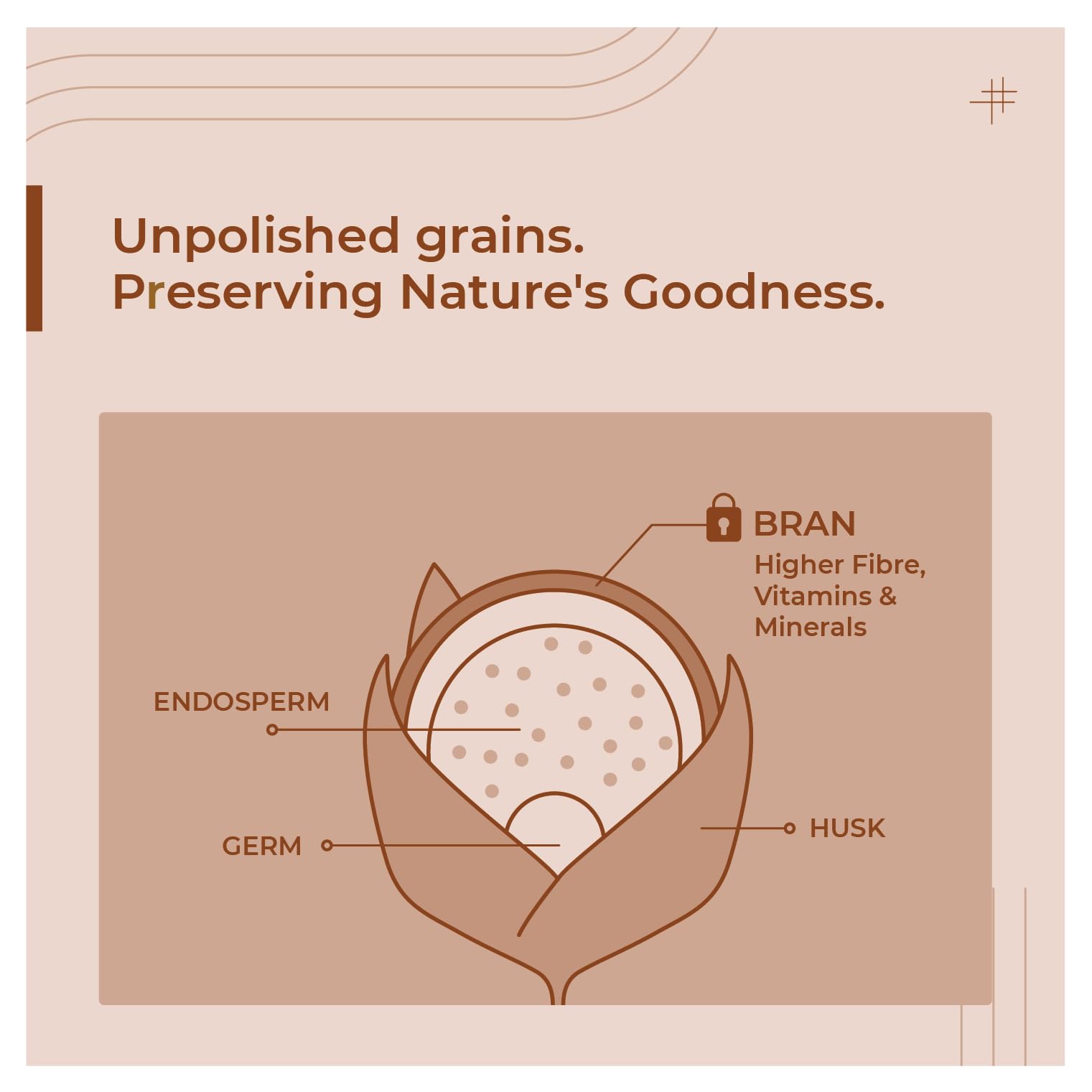 Organic Unpolished Millet Combo Pack - 5 Varieties (Browntop, Foxtail, Kodo, Barnyard & Little Millet) | High Fiber, Gluten-Free Ancient Grains | 5.5 lbs Natural Farm Produce | Perfect for Healthy Porridge, Baking & Vegan Recipes