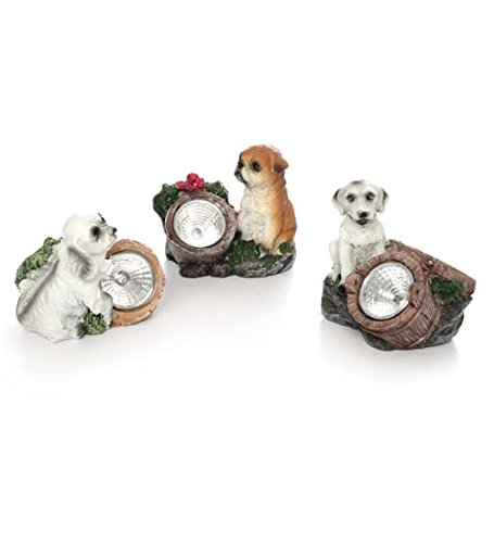 3 Pack Solar Powered LED Dog Garden Lights - Waterproof Outdoor Lighting for Yard, Pathway, and Pet-Friendly Decor (3 Inch)