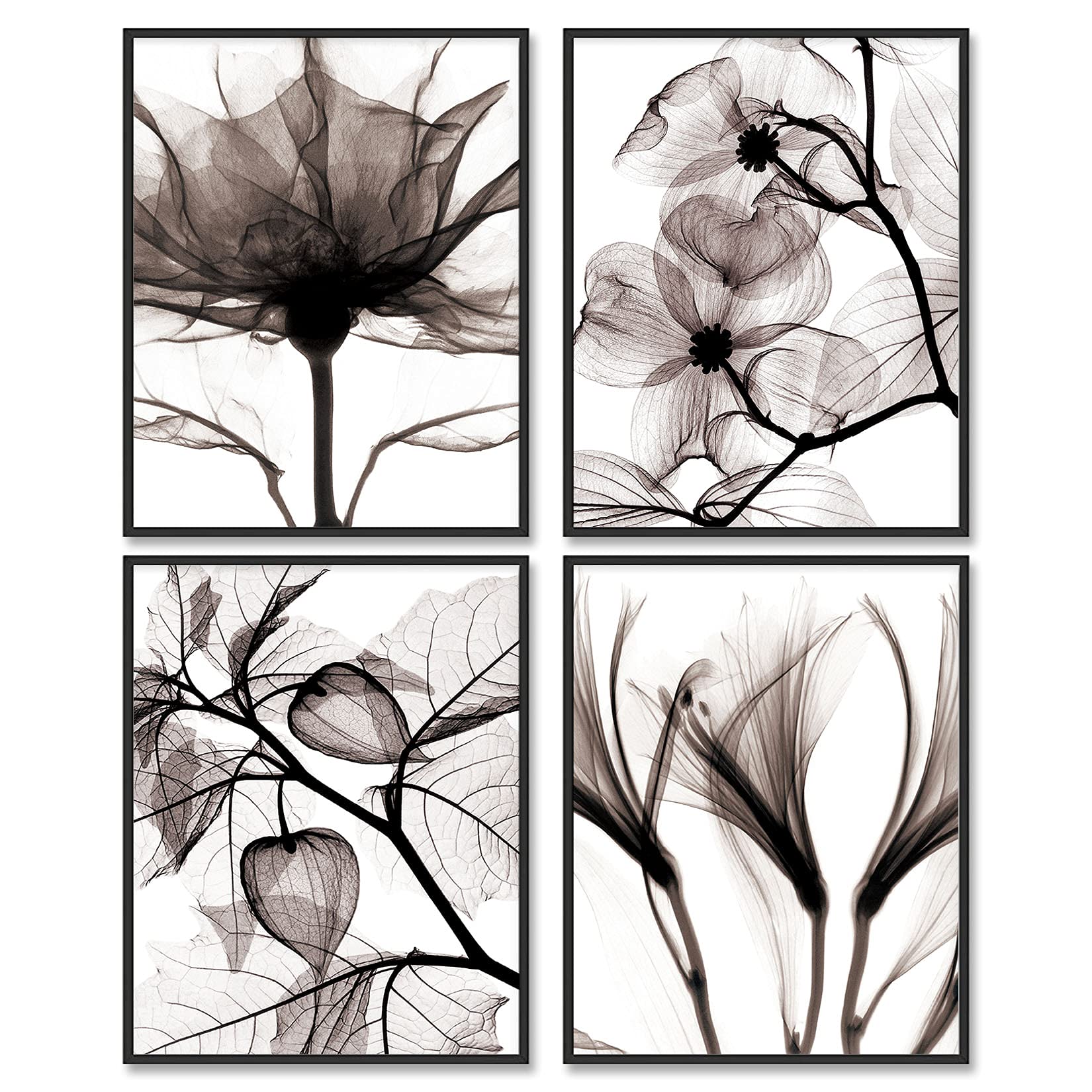 Black and White Botanical Wall Art Prints - Set of 4 Unframed 11x14 Canvas Posters, Modern Plant Paintings for Living Room, Bedroom & Office Decor | Home & Office Wall Decorations