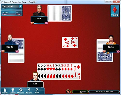 Encore Classic Card Games - PC Download | Fun Family & Party Entertainment | Play Anytime at Home or on the Go