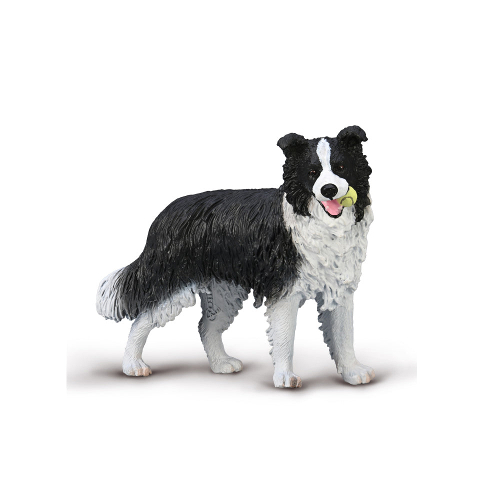 CollectA Border Collie Dog Figurine - Realistic Hand-Painted Toy Dog Model for Kids & Collectors | Perfect for Playtime, Educational Learning, and Home Decor