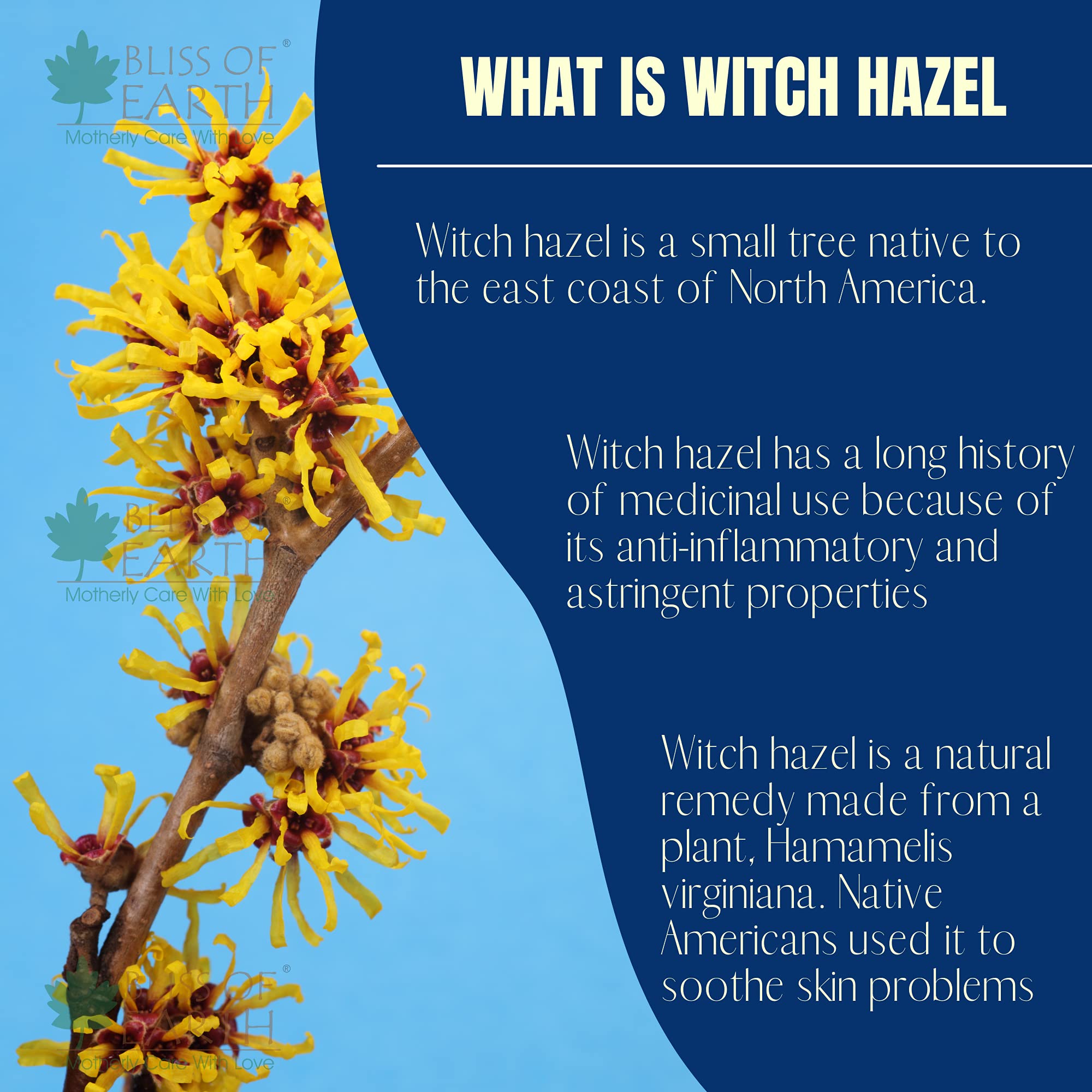 Bliss of Earth Witch Hazel Toner for Face - Natural Pore Minimizer & Alcohol-Free Facial Astringent for Acne & Oily Skin (100ml) | Daily Skincare Routine & Post-Shave Soother