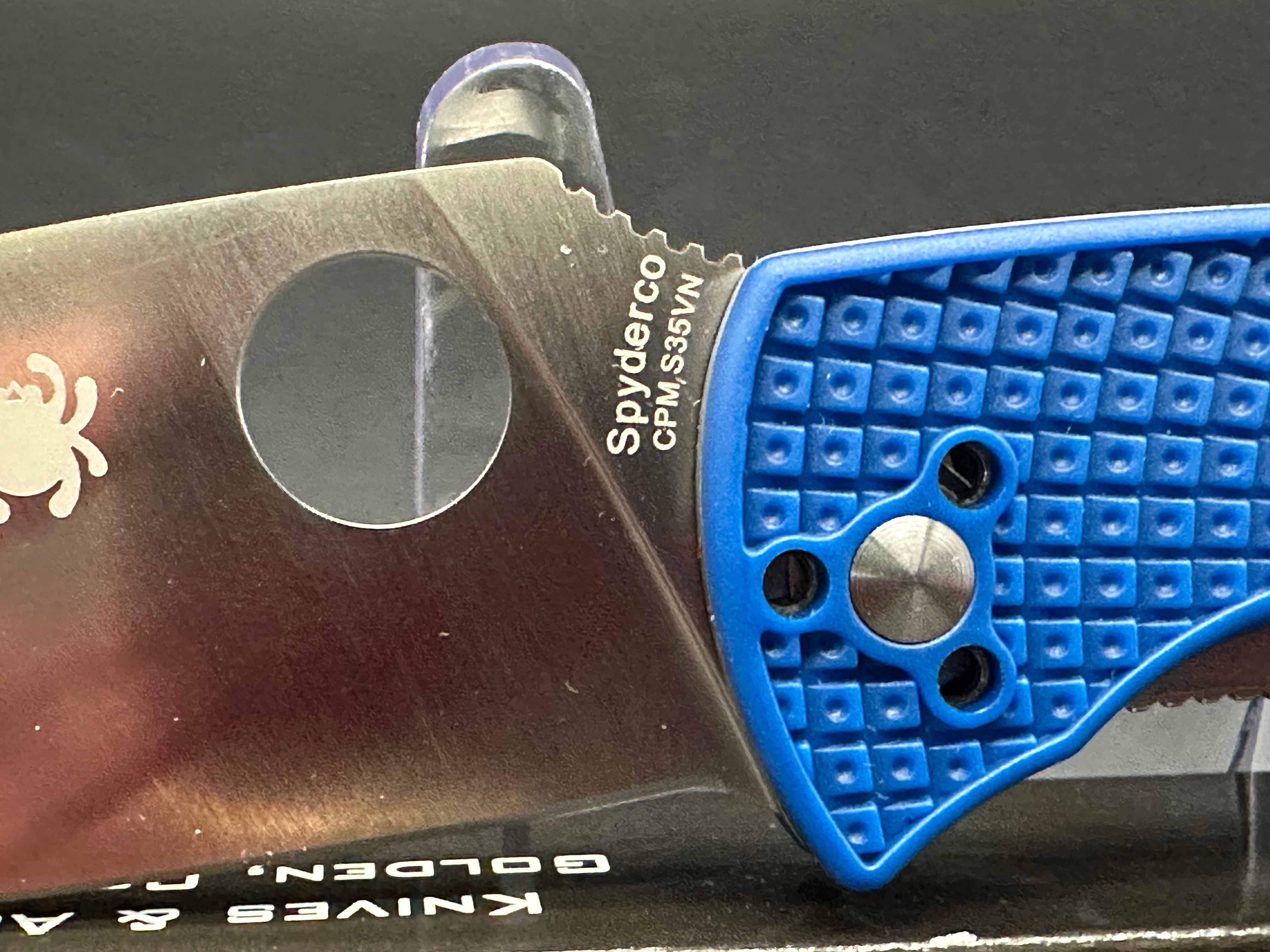 Spyderco Resilience Folding Knife - Blue G-10 Handle, CPM-S30V Steel Blade - Perfect for Outdoor Camping, Hiking & Everyday Carry (EDC)