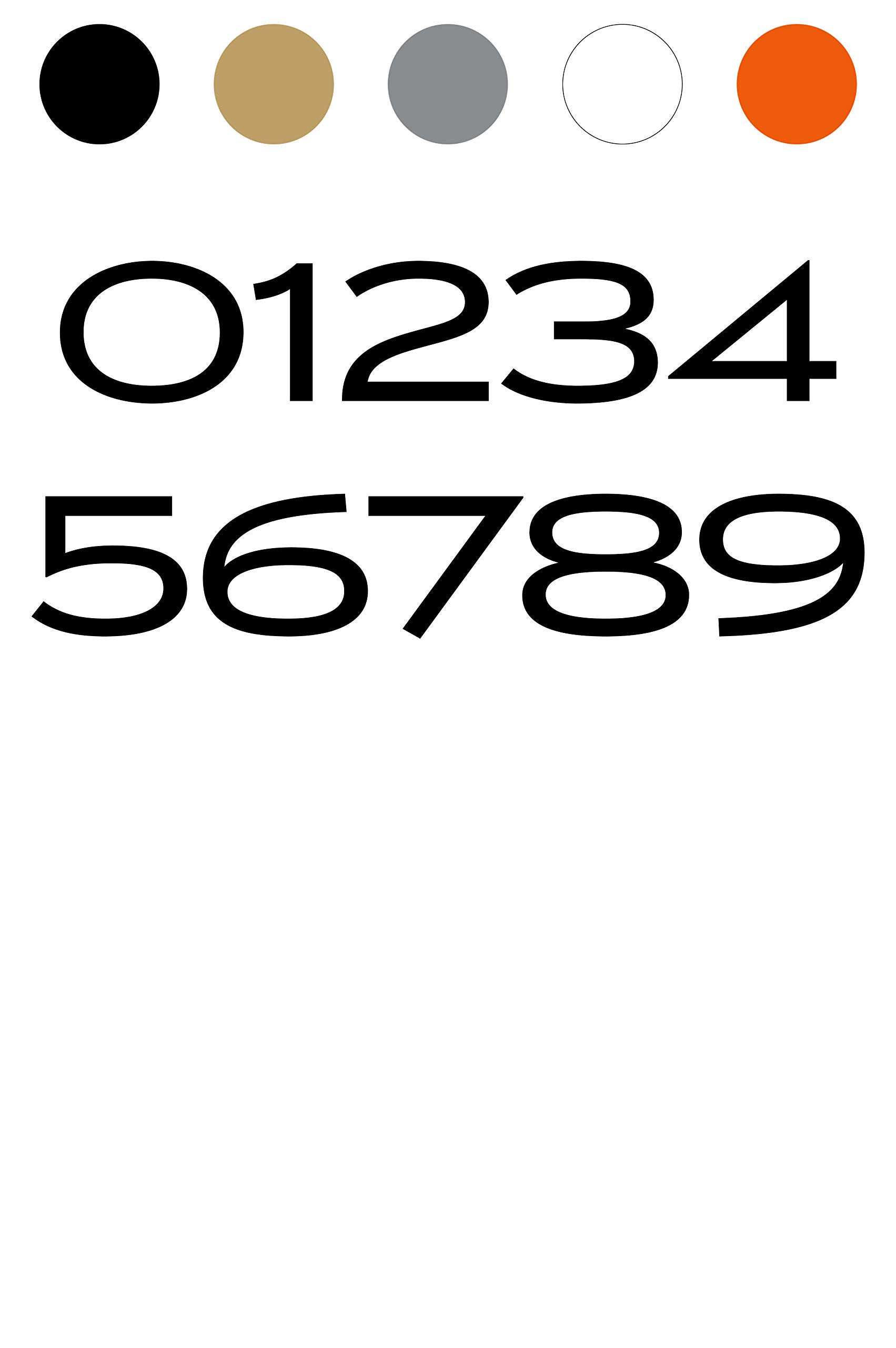 Custom Cut USA Mailbox Address Numbers - Elegant Opulent Style Font, Set of 2 (Opulence) - Perfect for Upscale Homes & Luxury Properties