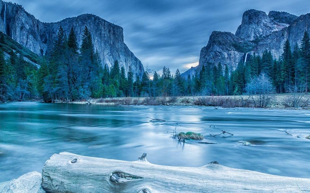 1000 Piece Jigsaw Puzzle for Adults - Premium Wooden Puzzle with Yosemite National Park Scenery | Challenging Animal Landscape Puzzle (75x50cm) | Perfect for Family Game Night, Stress Relief & Home Decor