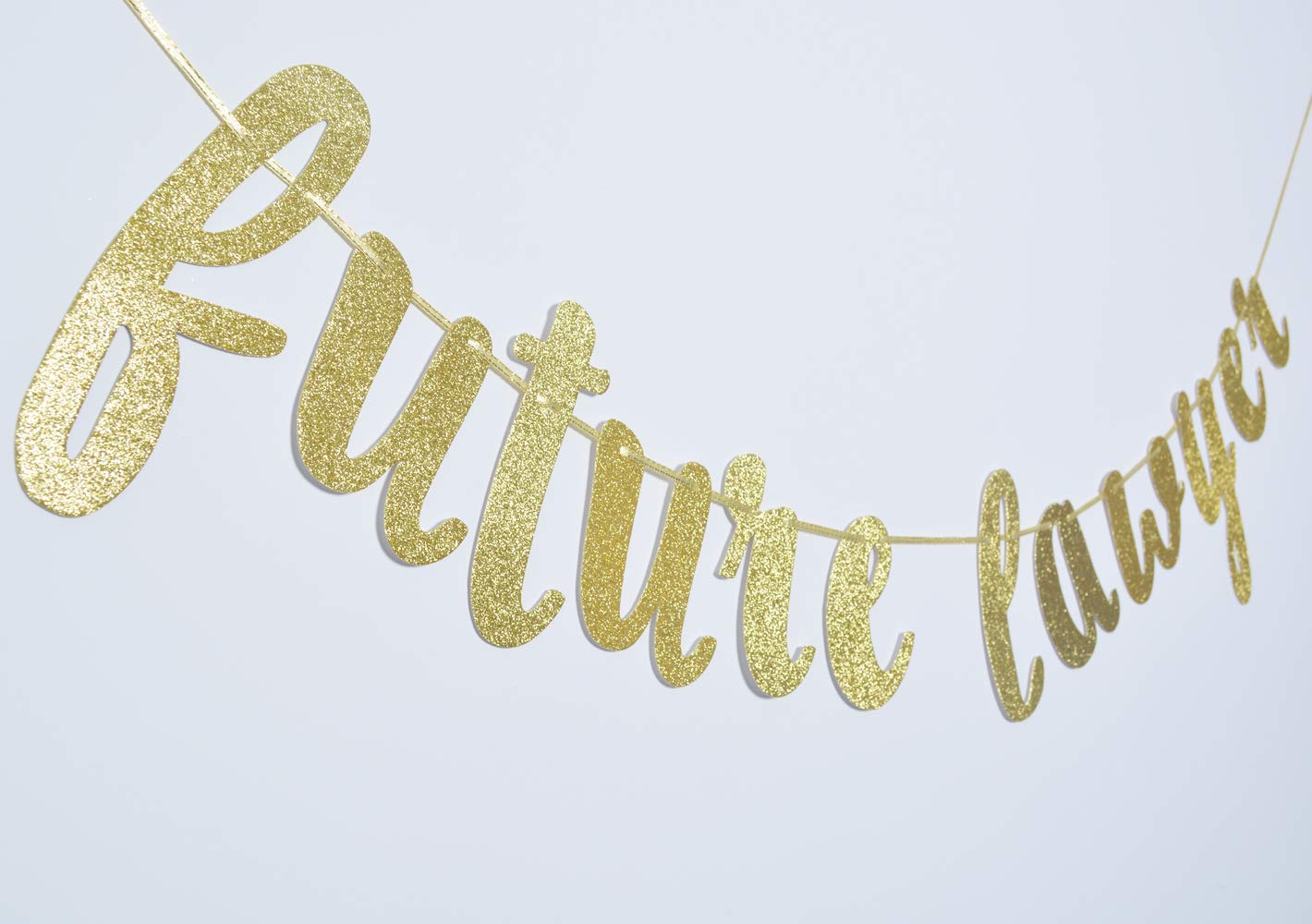 Future Lawyer Glitter Gold Banner - Law School Graduation Decorations for Wall, Party & Celebration - Perfect for Graduation Ceremony, Office Decor & Lawyer Gifts (Gold)