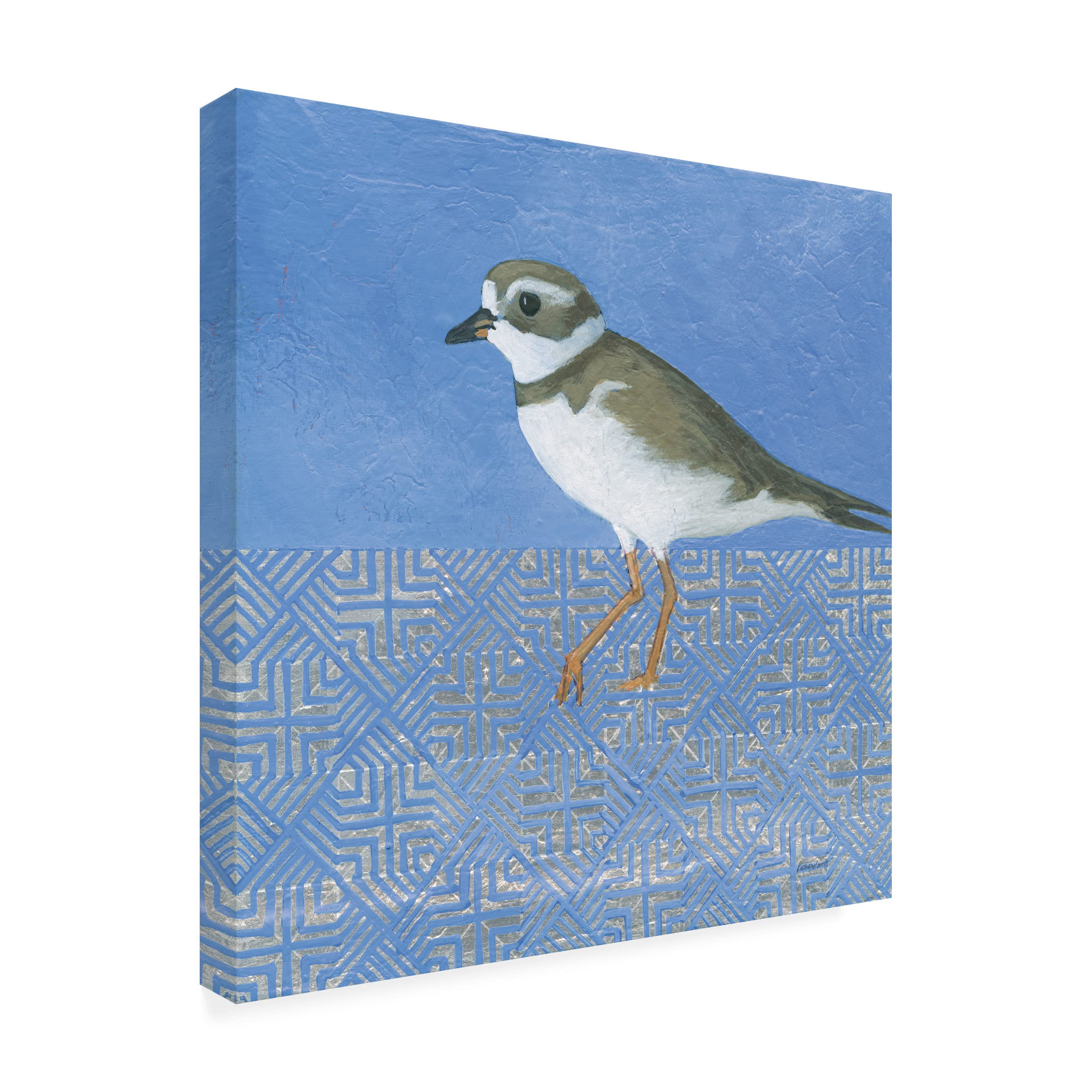 Trademark Fine Art 'Plover' Canvas Wall Art by Kathrine Lovell - Beautiful Coastal Bird Painting for Beach House Decor, Living Room & Bedroom Wall Decor
