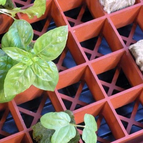 Grodan Gro Smart Tray Insert - Hydroponic Growing System for Indoor Plants | Perfect for Seed Starting, Microgreens & Herb Gardens