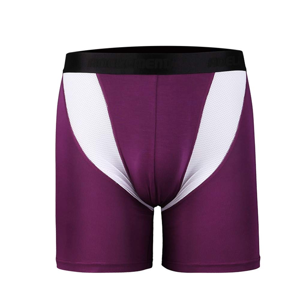 **Men's Soft Comfortable Boxer Shorts - Breathable Quick Dry Underwear for Sports, Gym & Beach - Long Leg Briefs with Stretch Fit**    *(Ideal for running, workouts, swimming, or everyday wear - stay cool and comfortable all day!)*