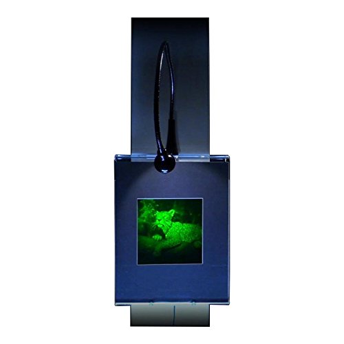 3D Jaguar 2-Channel Hologram Picture - Lighted Wall Display Art, Collectible Photopolymer Film for Home Decor, Office Display & Unique Gift Idea
