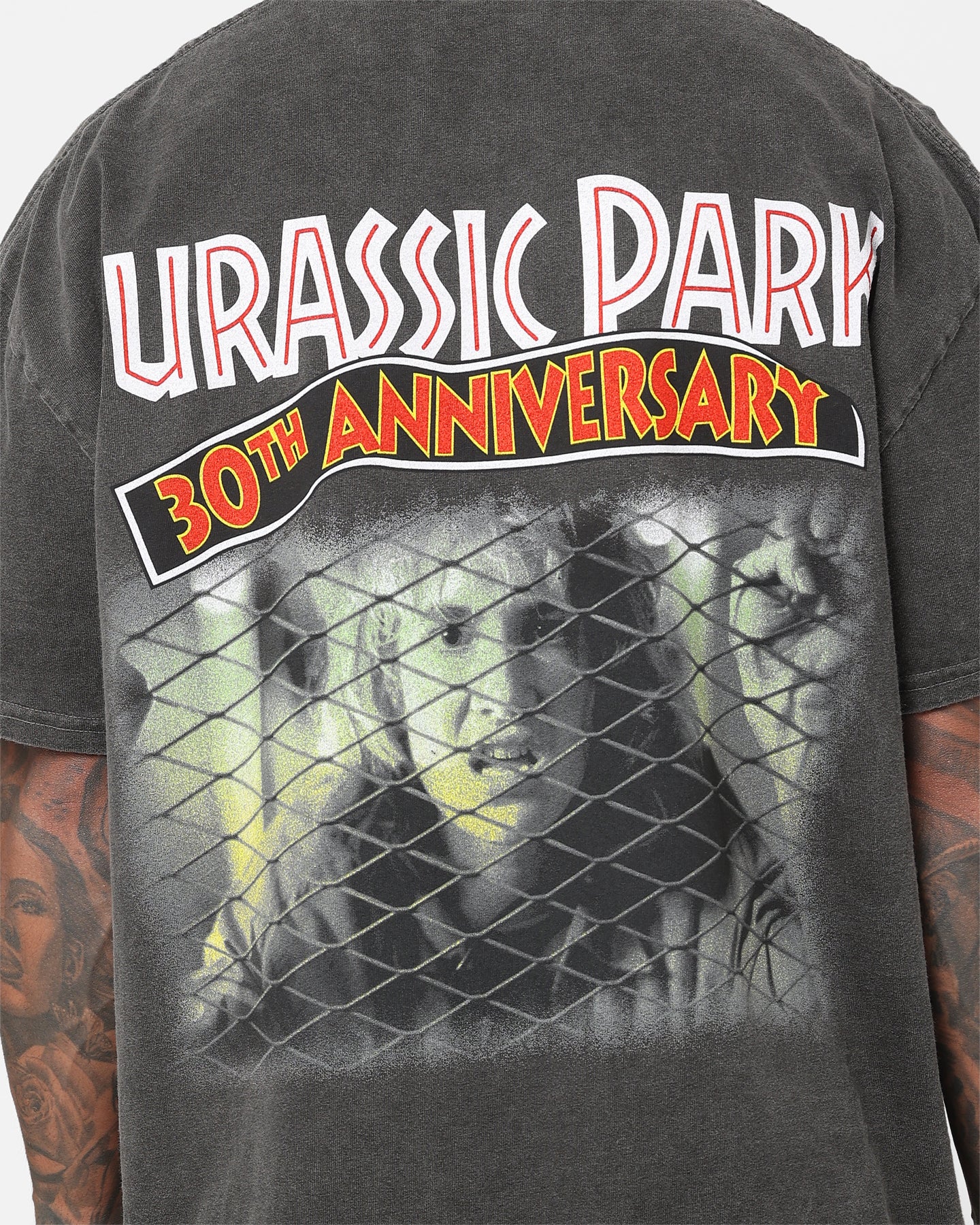 American Thrift Jurassic Park 30th Anniversary Vintage Heavyweight T-Shirt - Black Wash | Retro Movie Tee for Fans, Casual Wear & Pop Culture Enthusiasts