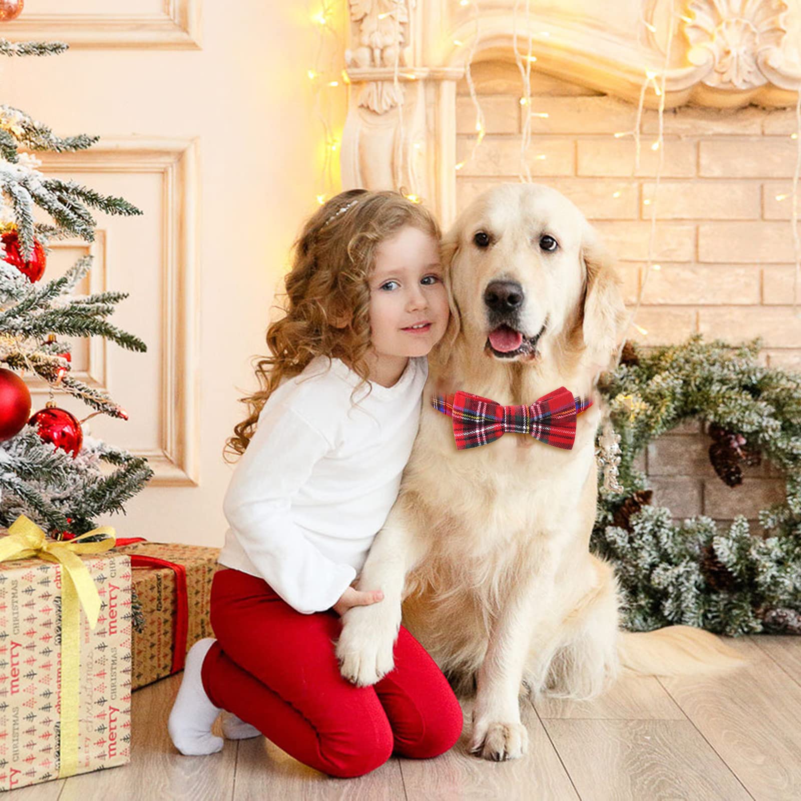 Malier Dog Collar with Bow Tie - Christmas Classic Plaid Snowflake Pet Collar for Small Medium Large Dogs & Cats (Scotland Red Plaid, Small) | Perfect for Holiday Photos & Winter Walks