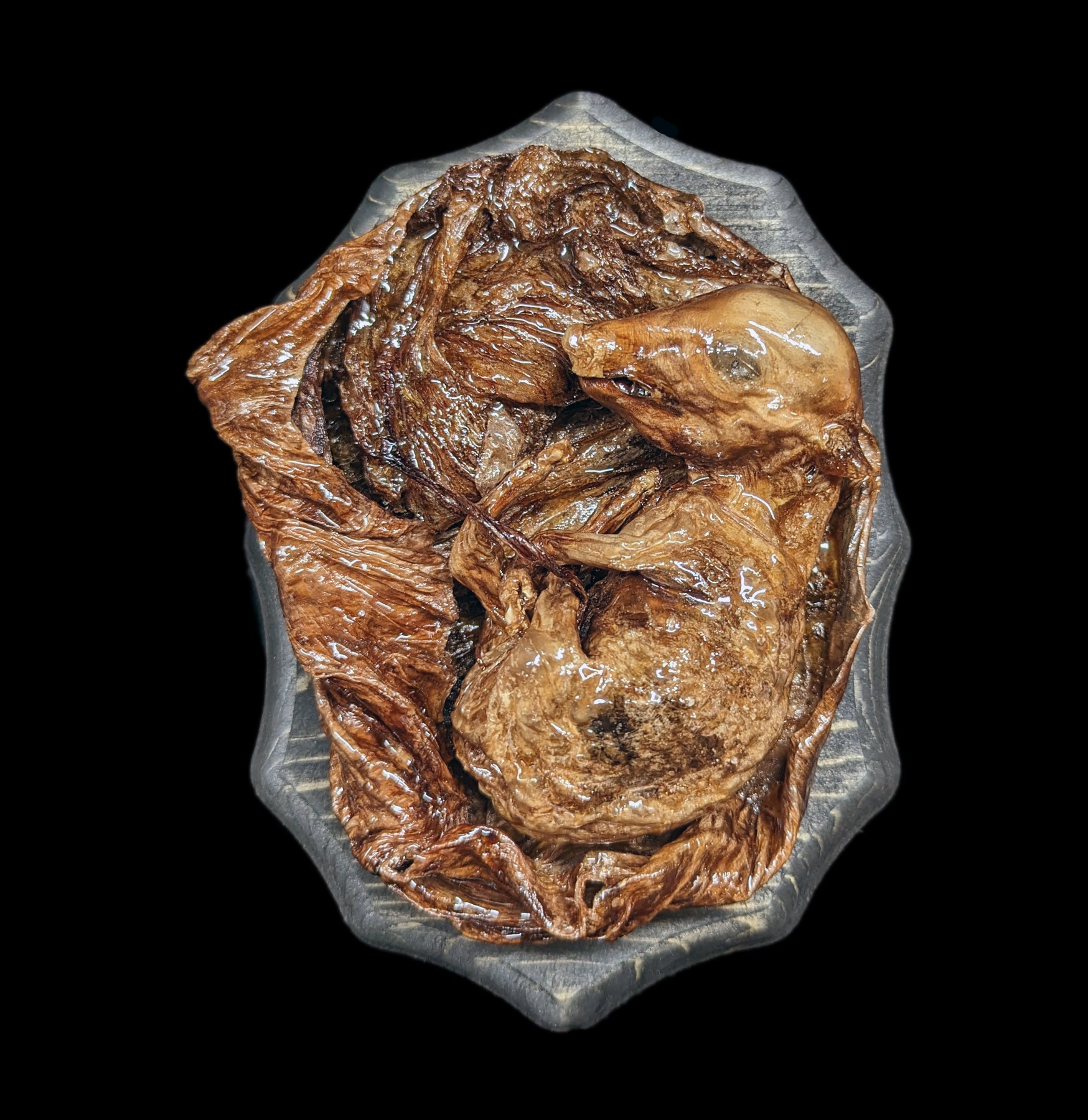 High-Quality Dissected Fetal Pigs in Uterus Specimen - Perfect for Biology Classrooms, Medical Studies & Veterinary Training