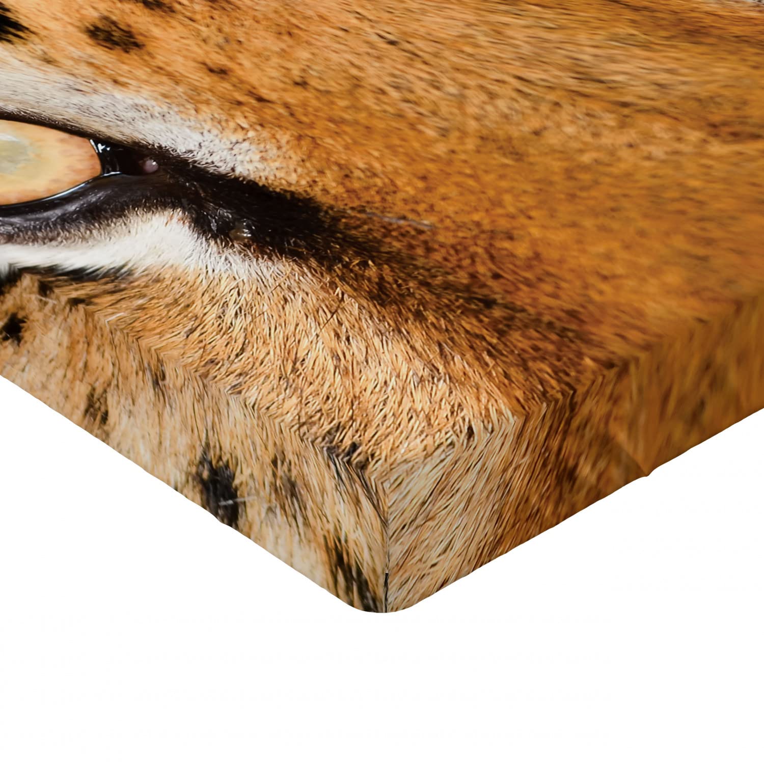 Ambesonne Savannah Fitted Sheet - Tiger Eyes Hunter Look Feline Camouflage Animal Print Bed Cover with Deep Pocket Elastic, Twin XL Size, Orange & Black - Perfect for Jungle Theme Bedroom Decor, Kids Room, or Wild Animal Lovers