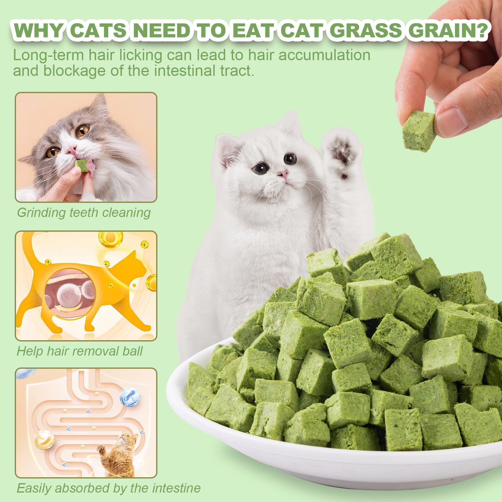 **Freeze Dried Cat Grass Treats for Kittens & Adult Cats - Natural Teething Chew Toy for Teeth Cleaning & Hairball Relief (80g) - Perfect for Indoor Cats & Digestive Health**