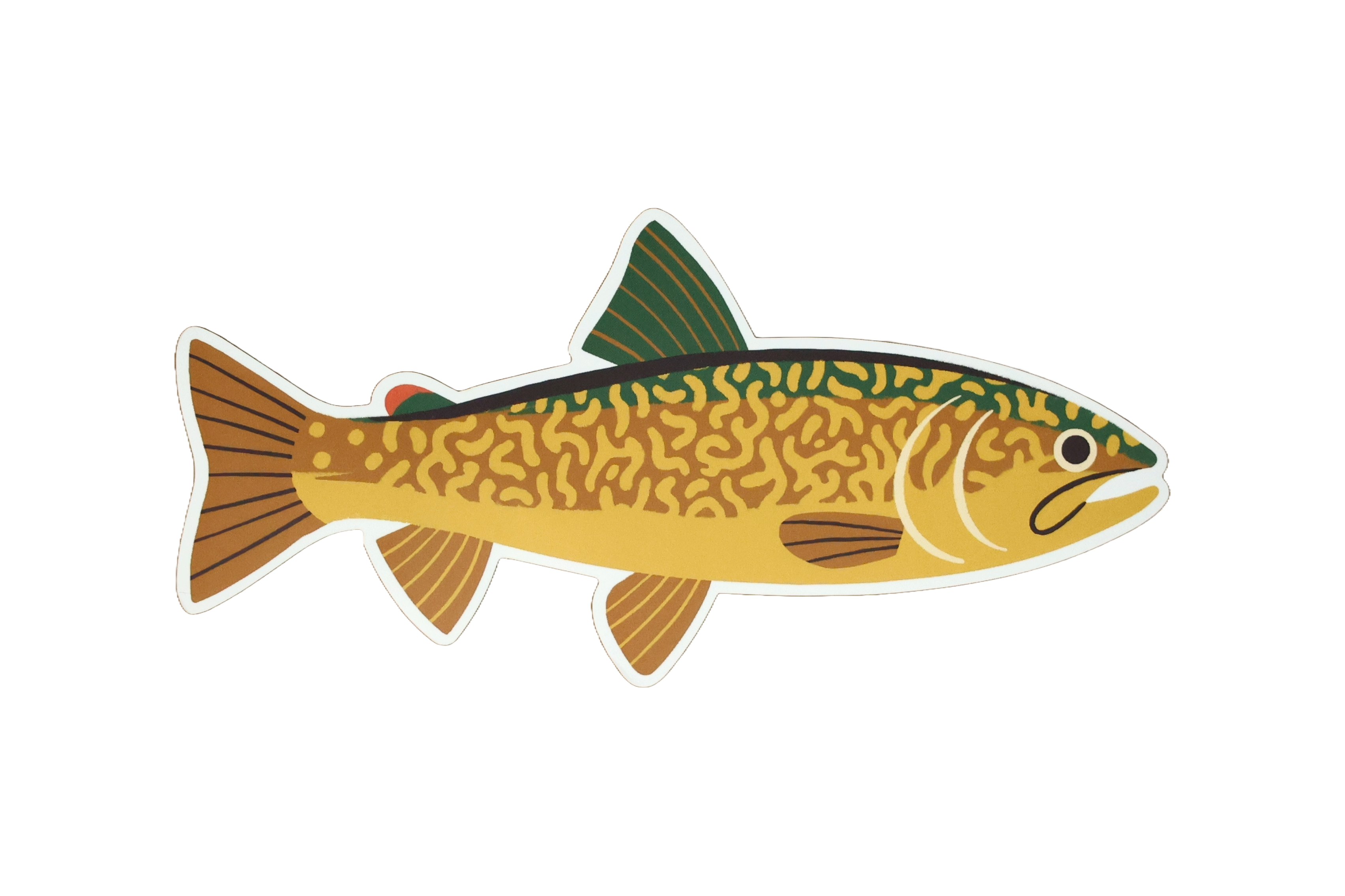 Native Trout Sticker - Waterproof Vinyl Decal for Fishing Gear, Coolers & Outdoor Equipment - Perfect for Anglers & Nature Lovers