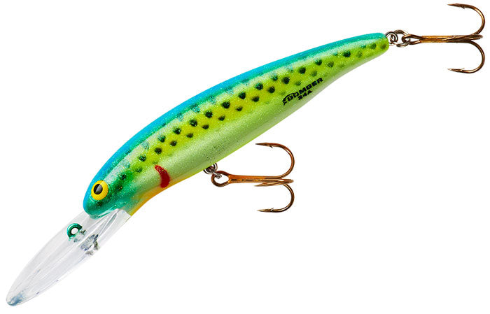 426 - Citrus Minnow