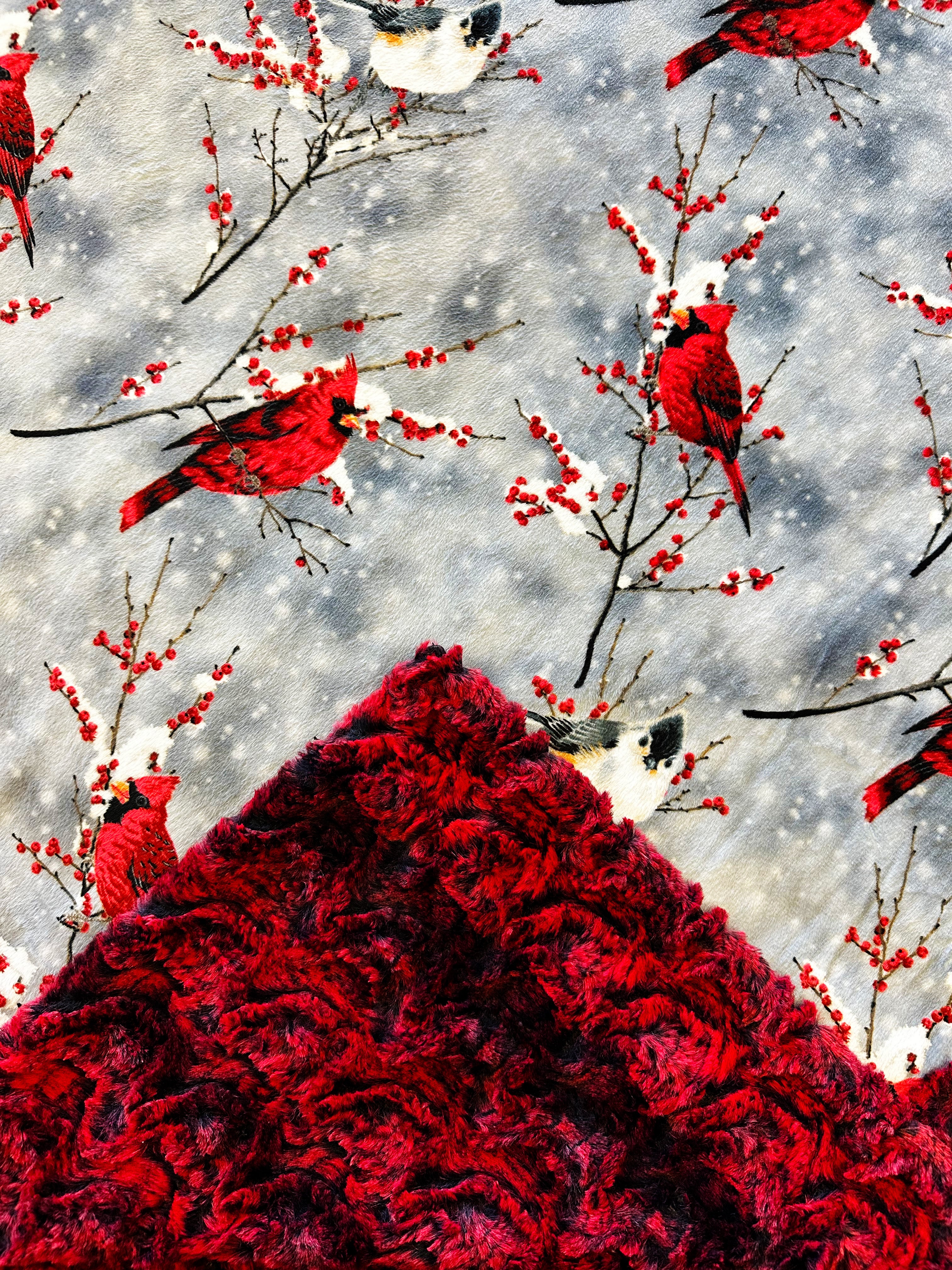 Cardinal Sparrow on Paloma Rocket - Soft Adult Large Blanket 55x75 Inches - Cozy Throw for Bed, Couch & Outdoor Picnics