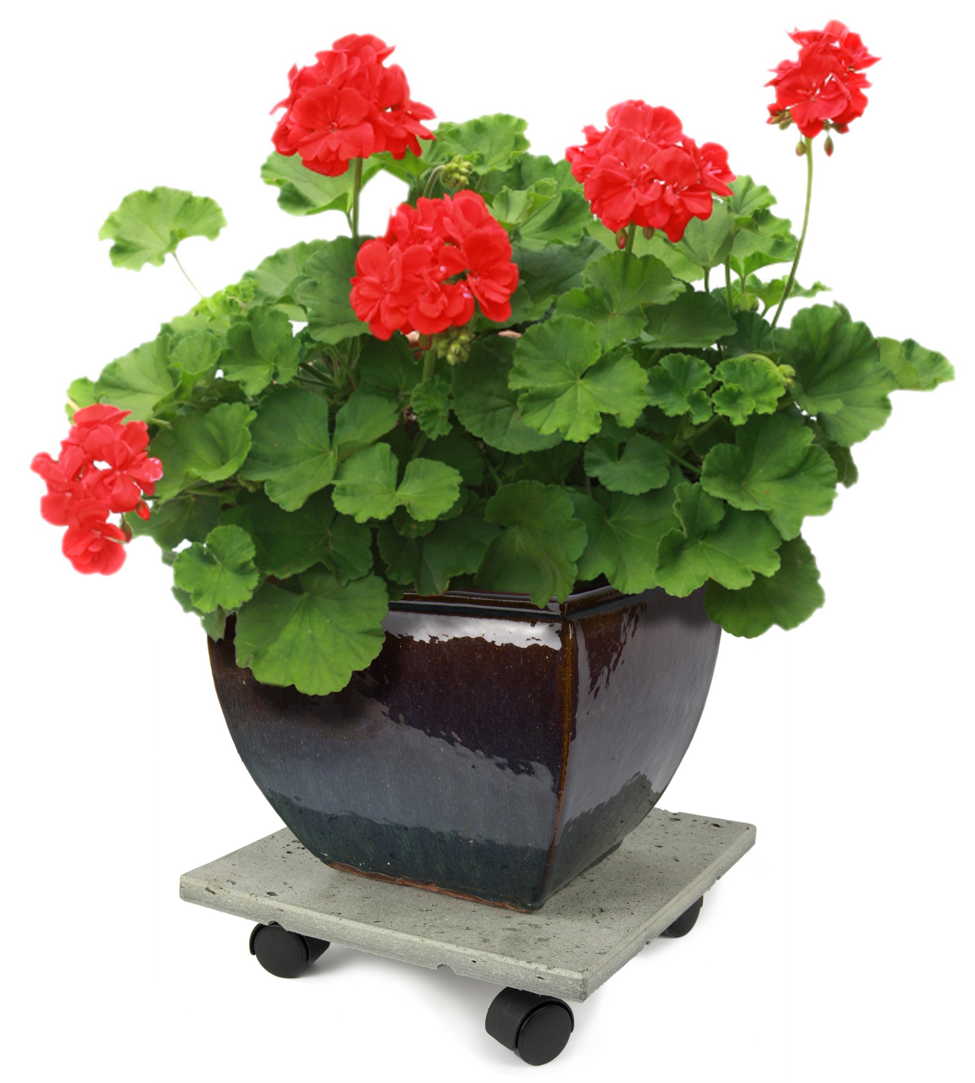 Terra Stone Plant Caddy with Wheels - Heavy Duty Gray Flower Pot Mover for Indoor & Outdoor Plants - Perfect for Moving Large Potted Plants on Decks, Patios and Gardens