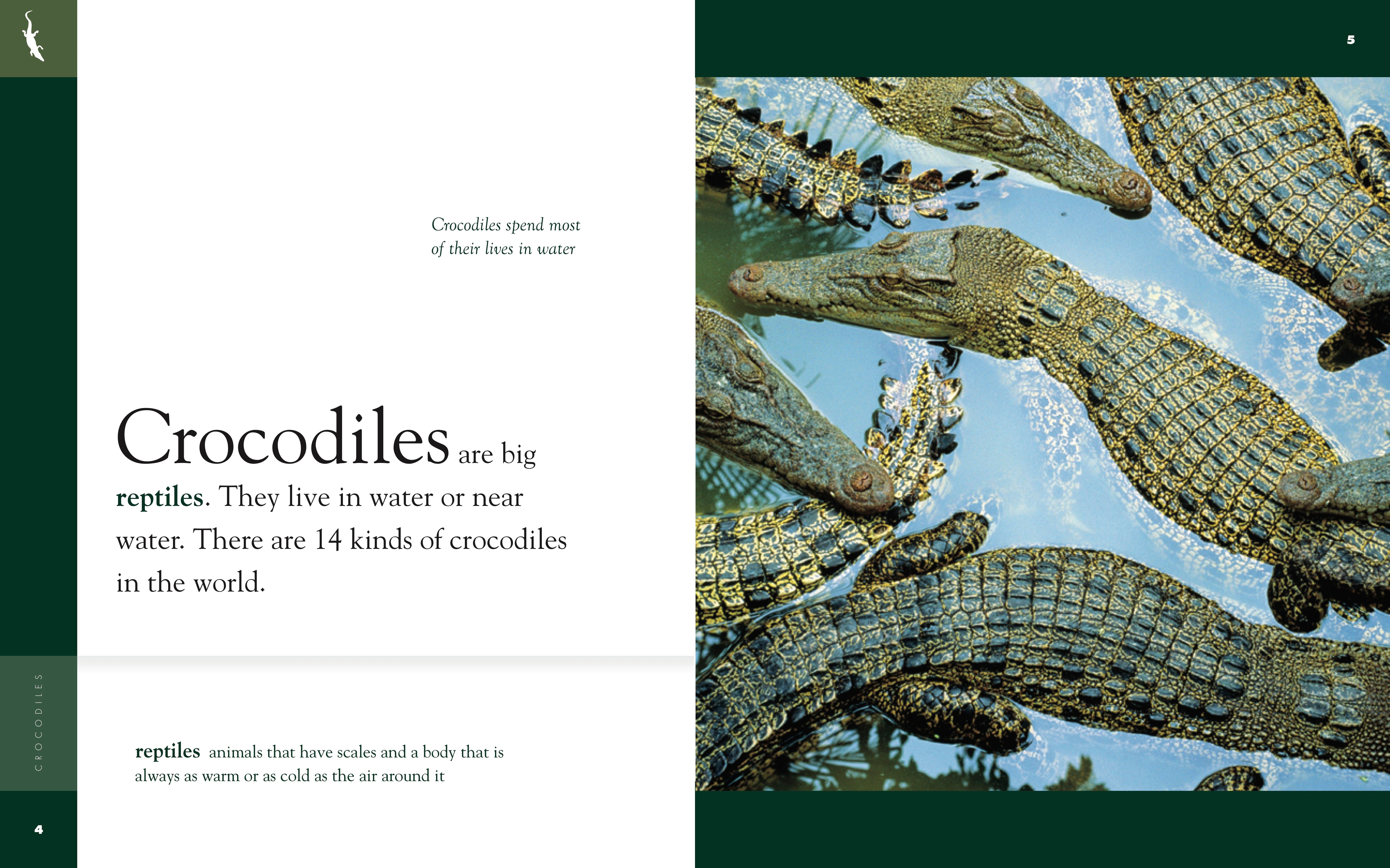 Amazing Animals (2014): Crocodiles - Wildlife Documentary DVD | Educational Nature Films for Kids & Adults | Perfect for Classroom Learning & Home Entertainment