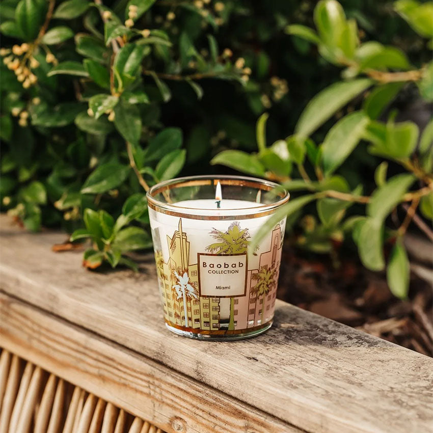 Baobab Collection My First Baobab Miami Candle - Luxury Scented Soy Wax Candle for Home, Office & Relaxation | Perfect for Gifts, Aromatherapy & Creating a Cozy Atmosphere