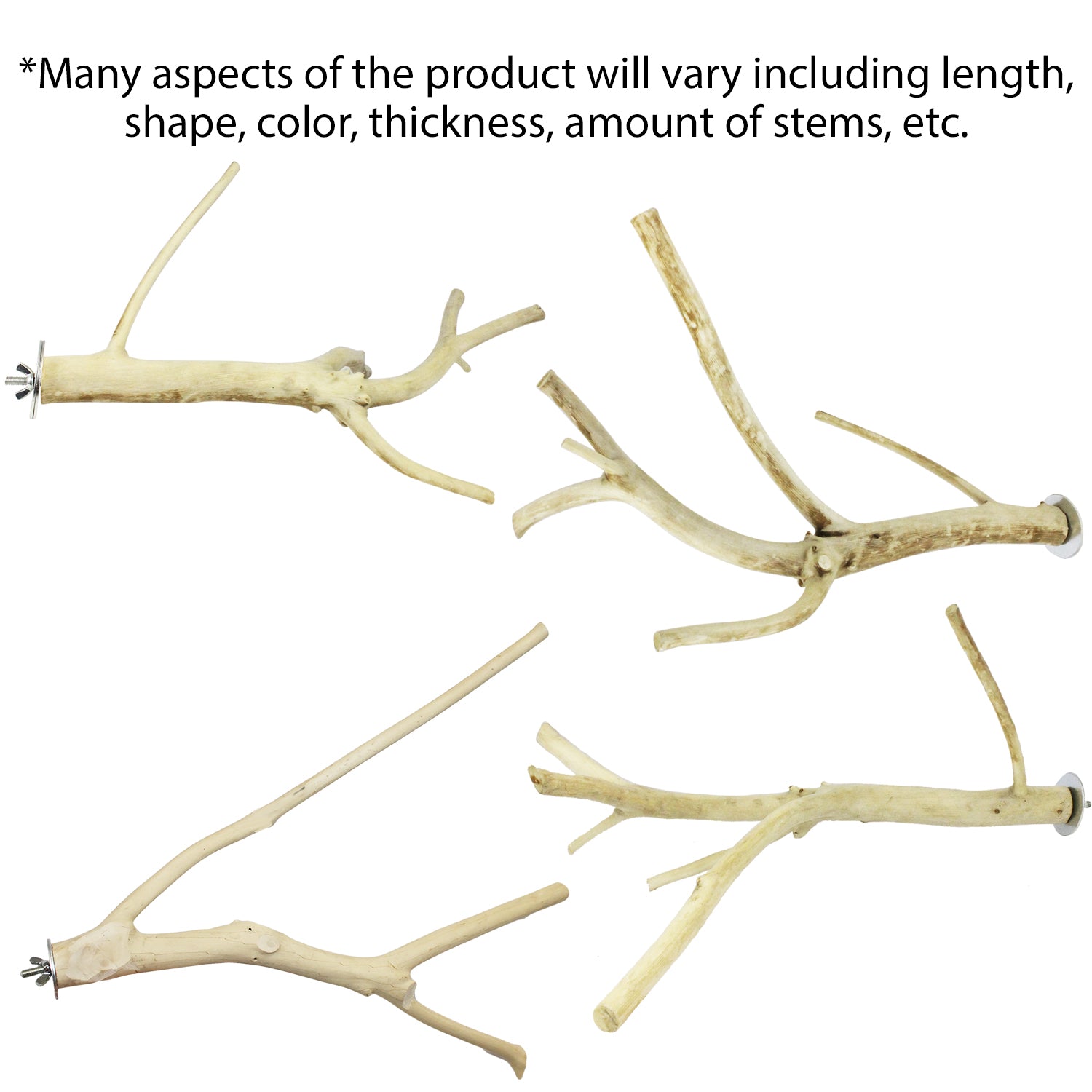 Multi Branch Perch for Birds - Natural Wood Bird Perch Stand with Multiple Branches - Perfect for Parrots, Cockatiels & Small Birds - Cage & Play Gym Accessory
