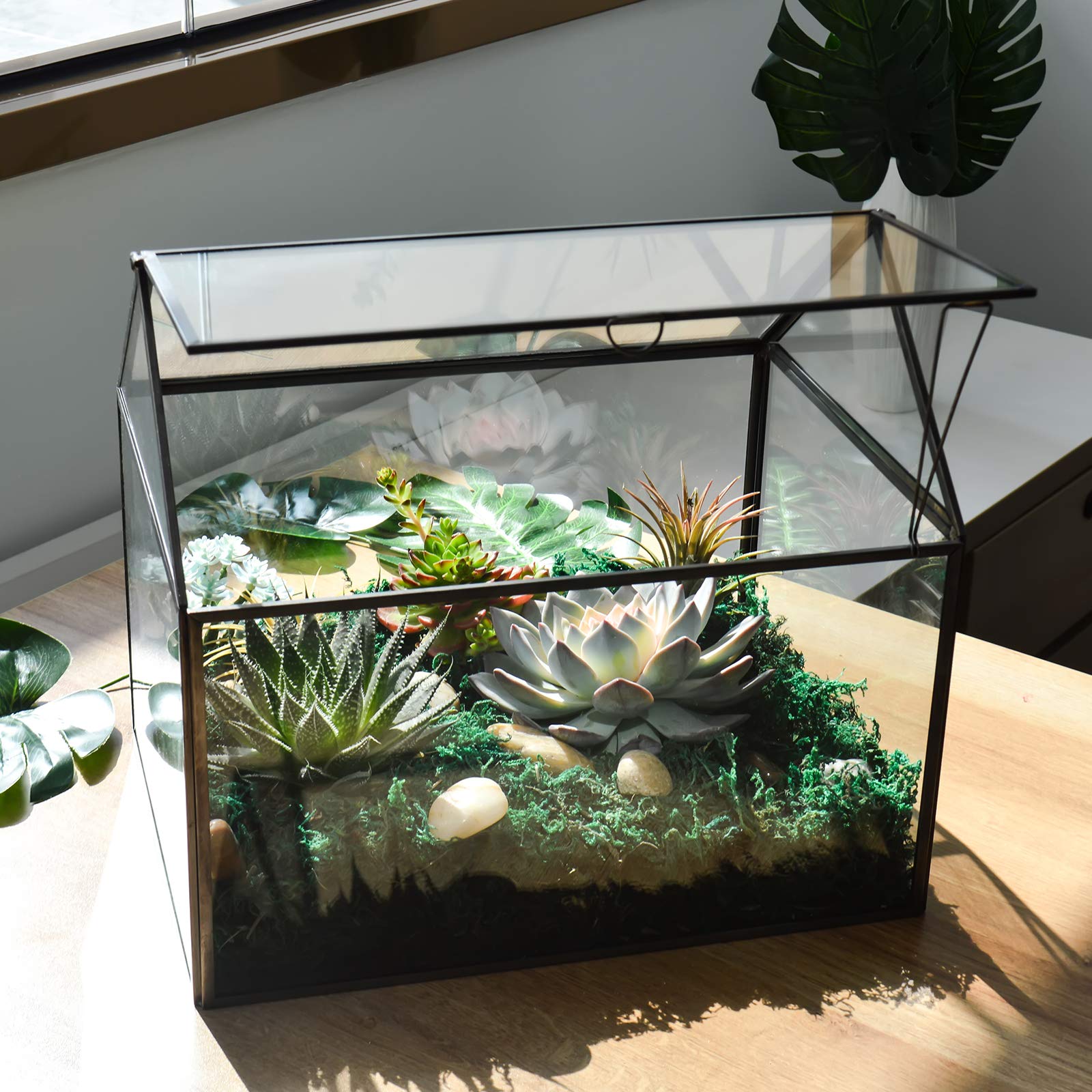 Large Glass Plant Terrarium Kit for Succulents - Black House Greenhouse Terrarium with Lip | Perfect for Indoor Plants, Home Decor & Office Desk Decorations