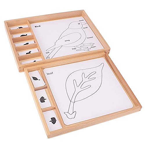 Montessori Botany Puzzles for Kids - Science Learning Toys with Animal & Plant Cards, PVC Wood Box - Educational English Games for Children | Perfect for Homeschooling & Classroom STEM Activities