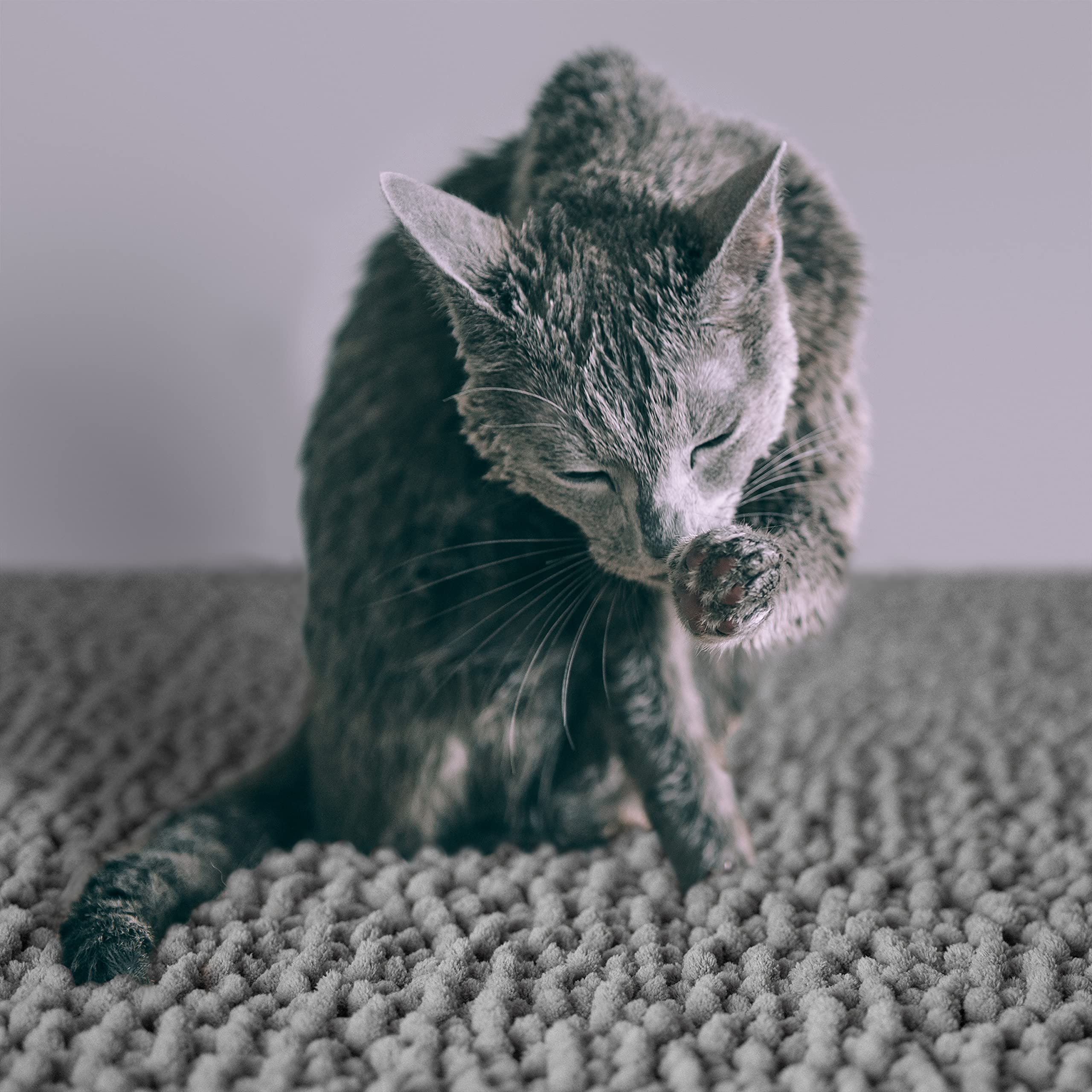 Premium Cat Litter Mat for Large Litter Boxes - XXL Waterproof & Non-Slip Kitty Litter Tray Mat | Heavy-Duty Machine Washable Pet Litter Trapper | Perfect for Multi-Cat Homes & High-Traffic Areas (Gray)