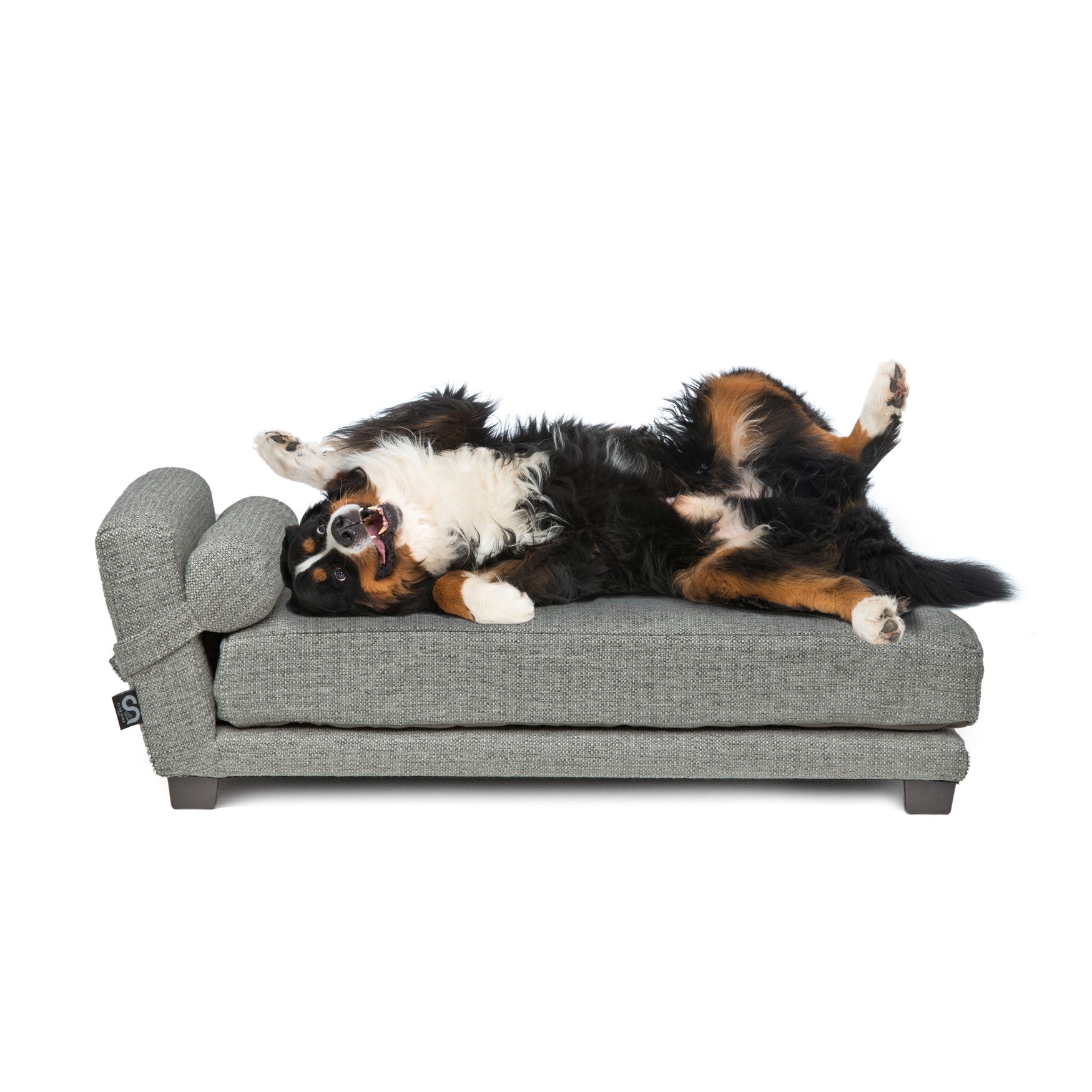 Orthopedic Dog Bed for Large Dogs - Memory Foam Support with Metal Frame - Perfect for Senior Pets & Joint Pain Relief - Ideal for Living Room, Bedroom, or Kennel Use