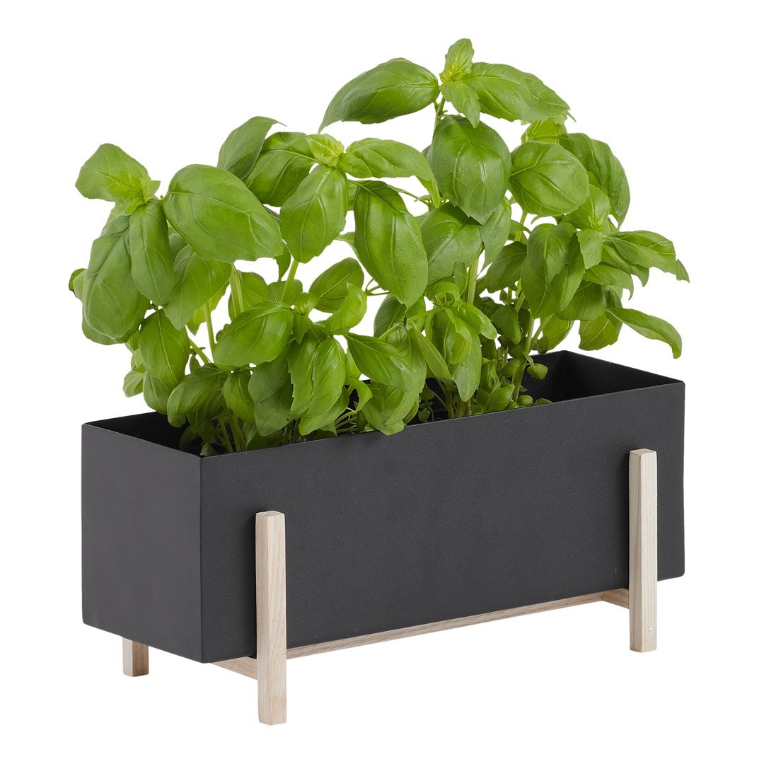 Atelier Botanic Box - Premium Home Decor & Gift Boxes | Scandinavian Design from Stockholm | Perfect for Housewarming, Weddings & Special Occasions