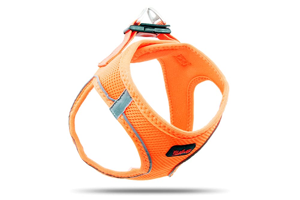 **Tailpetz Adjustable No-Pull Reflective Dog Harness for Small Dogs - Step-in Design for Puppy Training, Comfortable & Secure Fit for Small Breed Dogs (Neon Orange, Size S) - Perfect for Walks, Hiking & Outdoor Adventures**