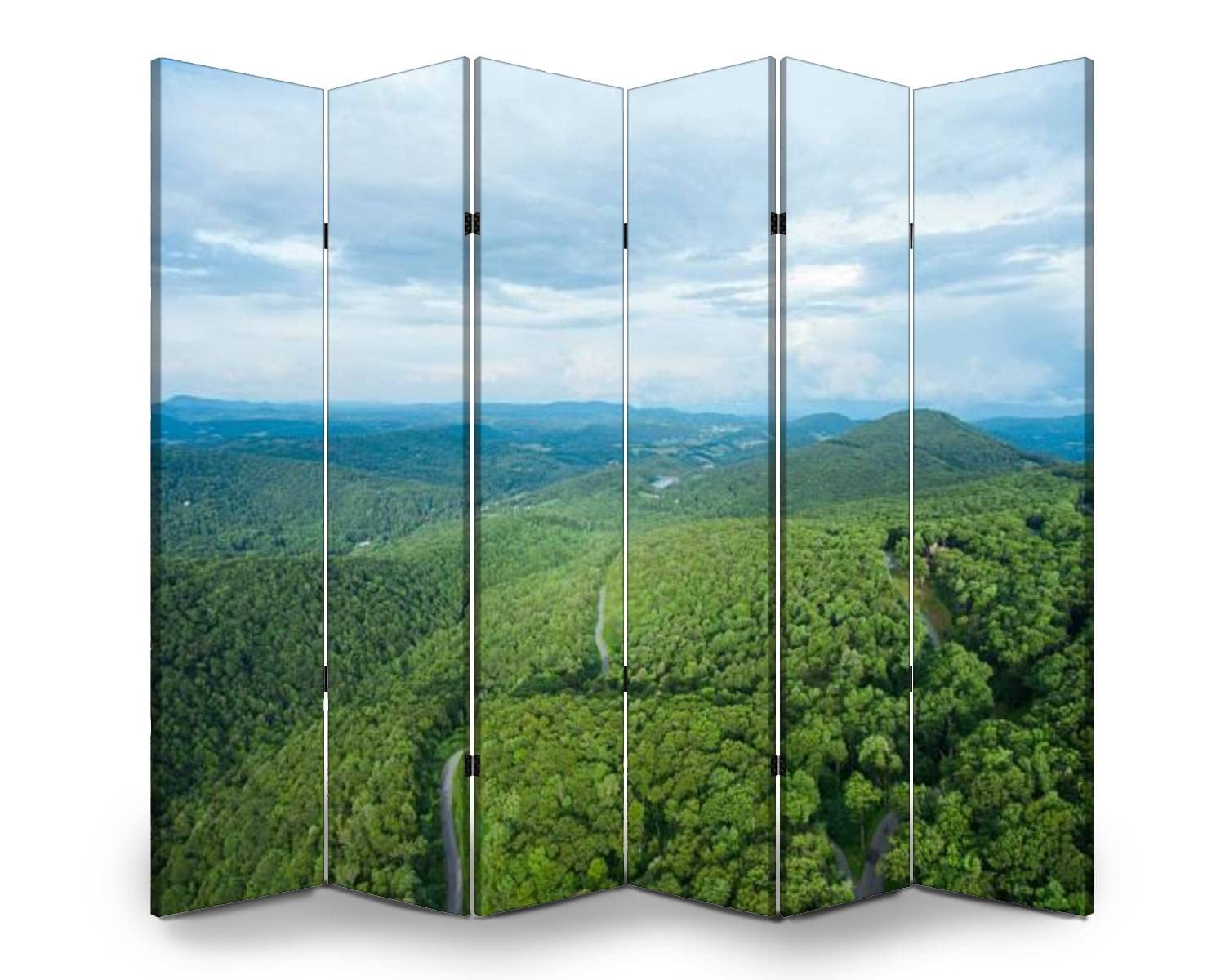 6-Panel Folding Room Divider Screen - Freestanding Privacy Partition for Indoor/Outdoor Use | Aerial View of Boone NC Mountains & Skyline | Perfect for Home Office, Studio, or Event Space Separation