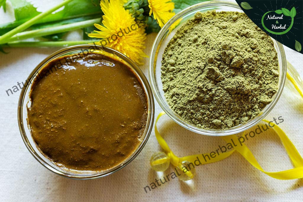Natural Indigo Henna Powder for Hair Growth, Hair Fall Control & Color - 100g (Pack of 2) | Organic Hair Care Treatment for Gray Coverage, Conditioning & Styling | Perfect for DIY Hair Masks & Natural Dye at Home