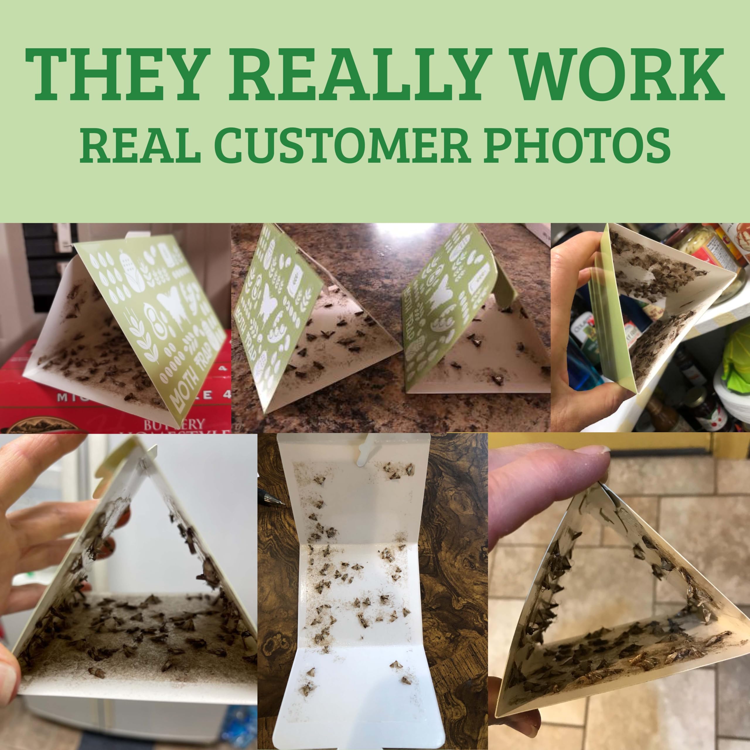 Premium Pantry Moth Traps 6-Pack with Pheromones - Non-Toxic, Child & Pet Safe | No Insecticides | Strong Attraction for Long-Lasting Pantry Protection | Ideal for Kitchen, Food Storage & Grain Containers