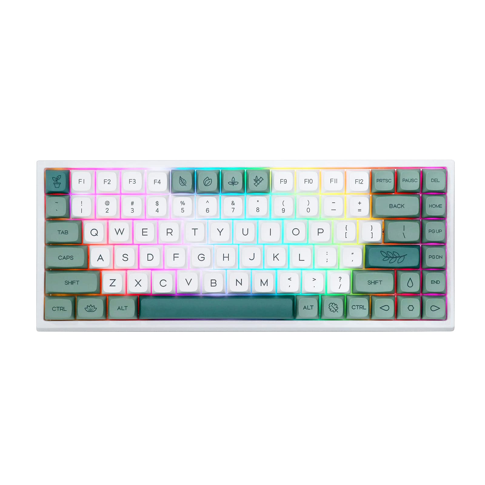 EPOMAKER EP84 75% Hot Swappable RGB Mechanical Keyboard - Wireless 2.4GHz/Bluetooth 5.0/USB-C Wired, NKRO, Programmable Software, Dye-Sub PBT Keycaps for Mac/Windows PC Gaming & Typing (Budgerigar Color) - Perfect for Esports, Office Work & Programming