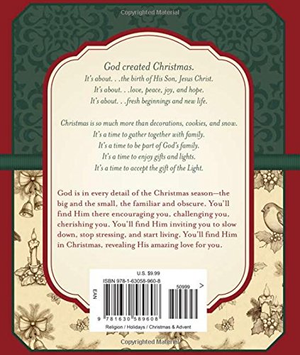 God Is in the Small Stuff Family Advent Devotional Book - Daily Christian Devotions for Christmas Preparation - Perfect for Family Worship & Holiday Bible Study