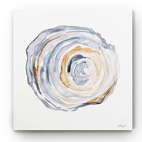 24x24