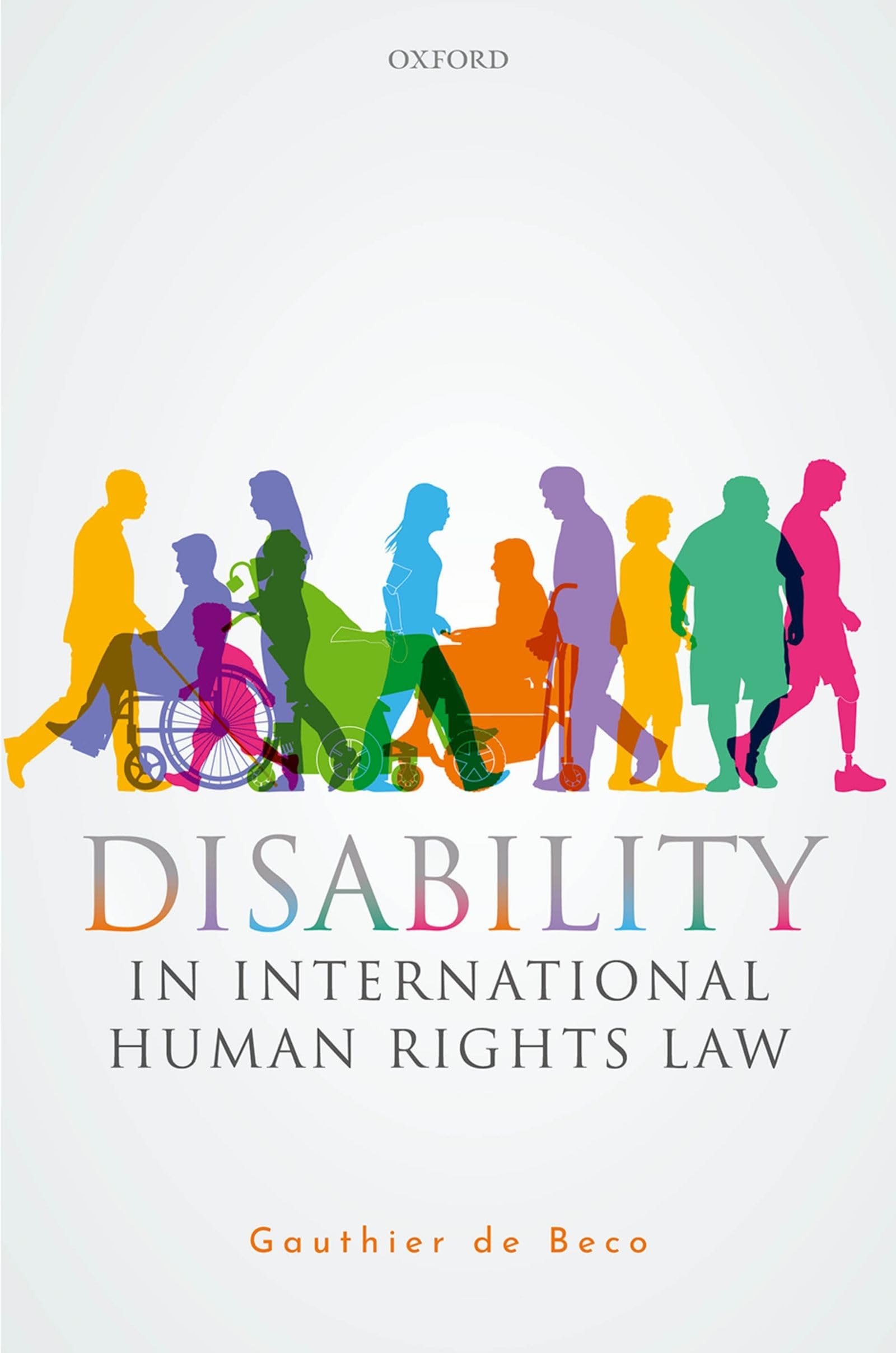 Disability Rights in International Human Rights Law | Legal Protections & Advocacy for Persons with Disabilities | Workplace & Education Accessibility