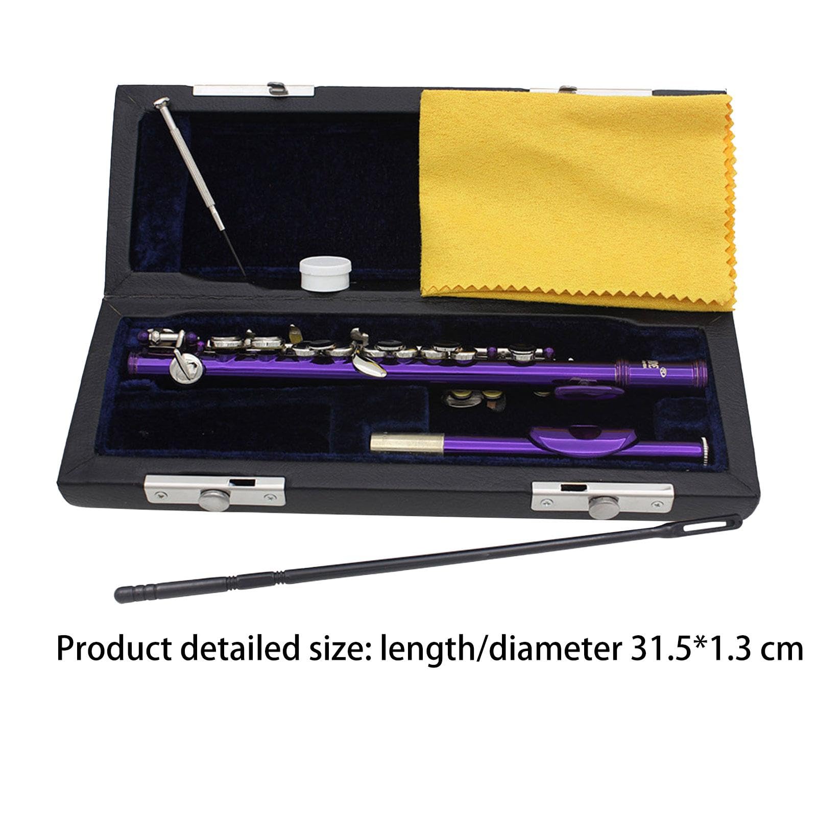 Premium Piccolo C Key Flute - 16 Hole Lightweight Portable Flute for Kids & Beginners | High Quality Sound, Musical Gift & Enlightenment | Perfect for School Bands, Concerts & Music Practice (Purple)