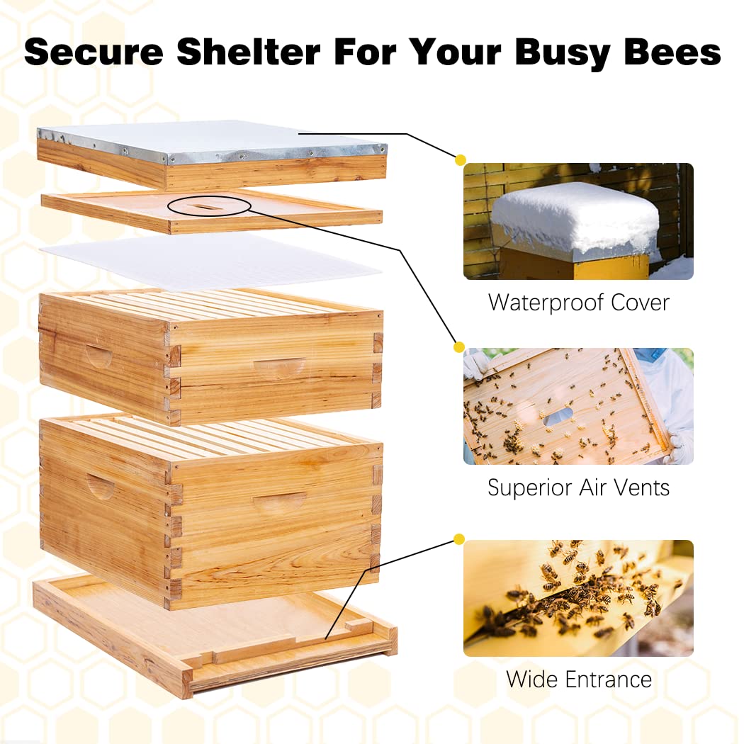 POLLIBEE 8 Frame Beehive Starter Kit - Unassembled Langstroth Bee Hive with 1 Deep & 1 Medium Box, Beeswax Coated Frames & Foundation - Complete Beekeeping Supplies for Beginners | Perfect for Backyard Honey Production & Pollination