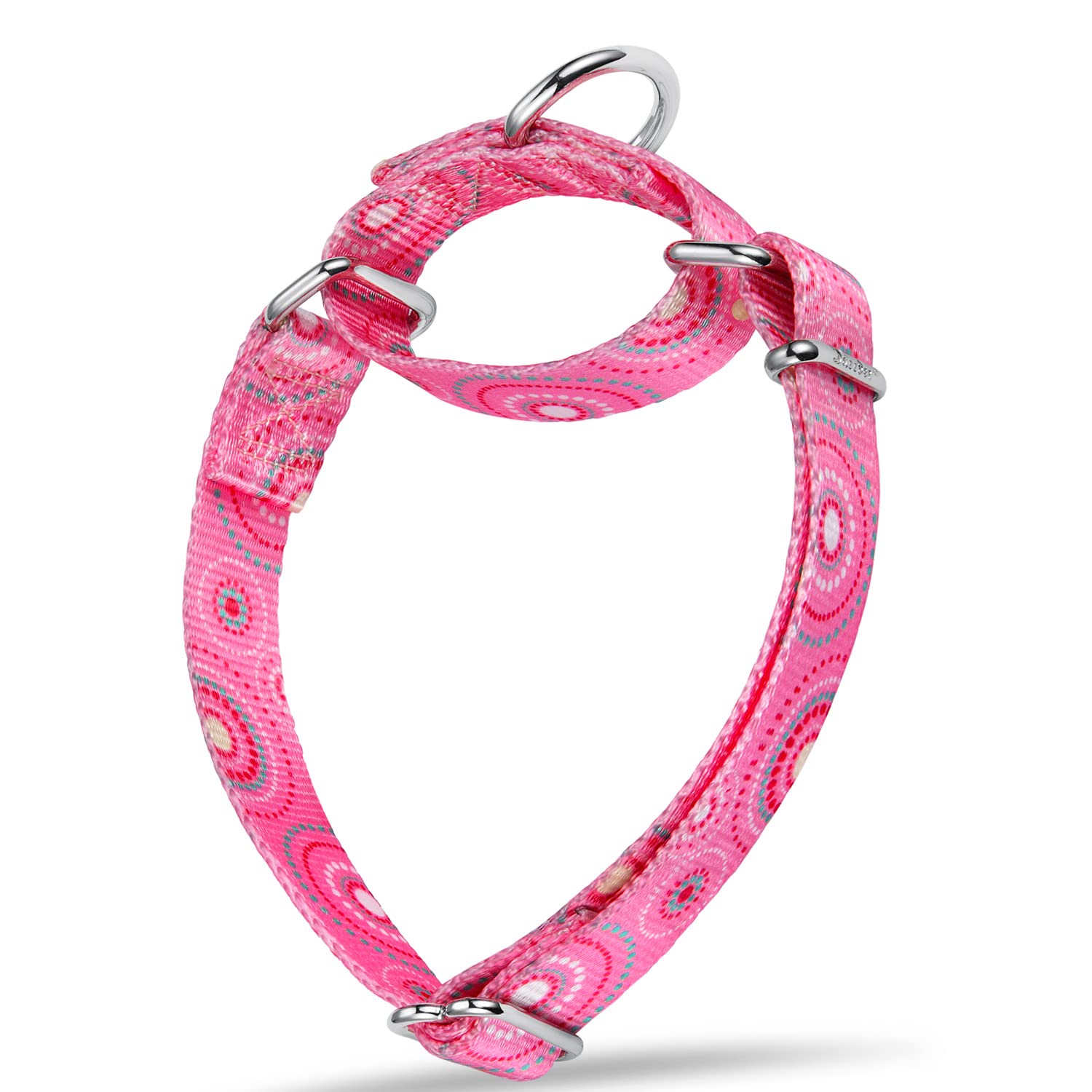 Premium No-Pull Martingale Dog Collar - Heavy Duty Silky Soft Pet Collar with Unique Firework Dots Pattern for Medium & Large Dogs (1