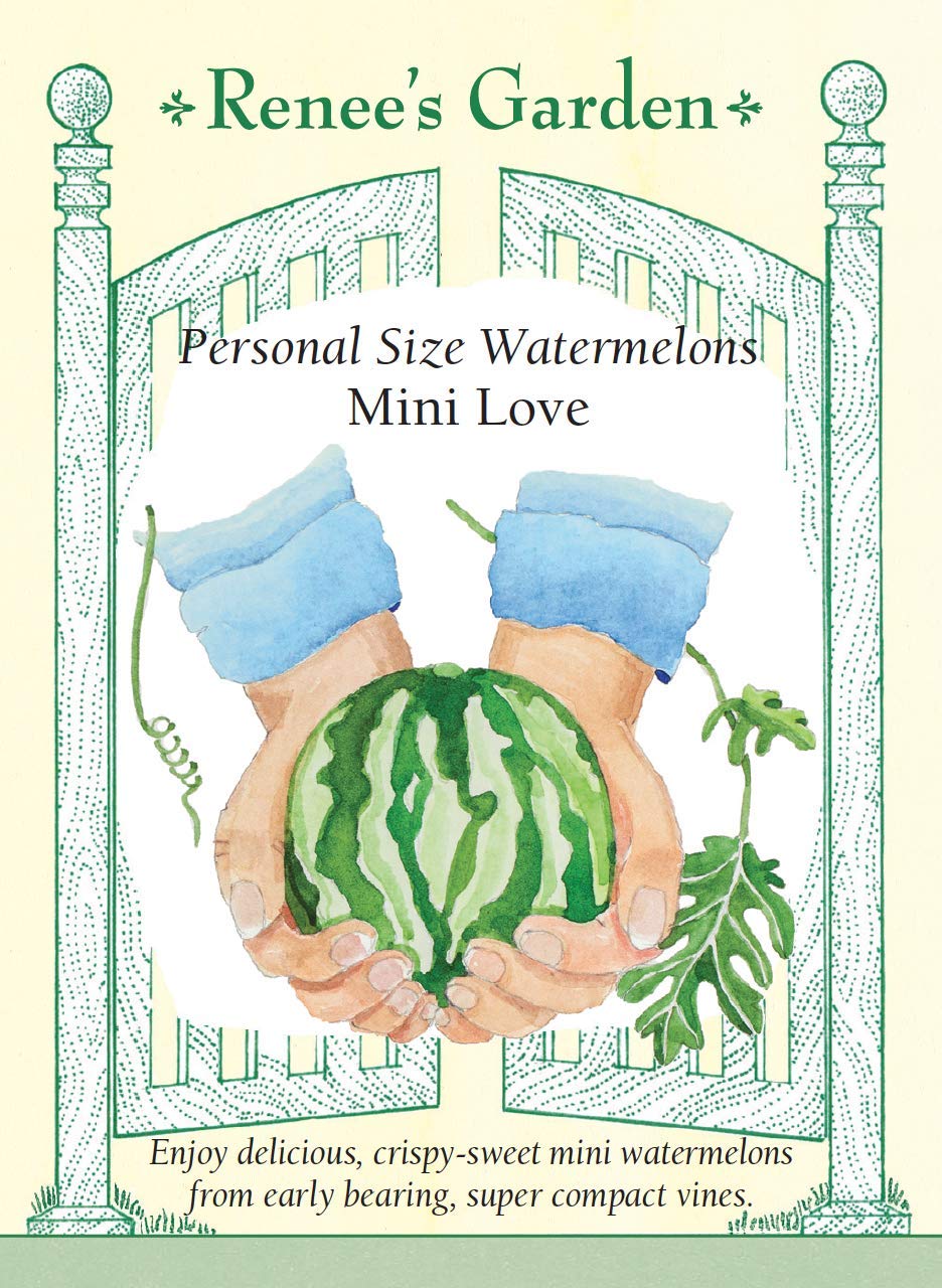 Mini Love Personal Size Mini Watermelon - Sweet & Juicy Bite-Sized Melons for Snacking, Fruit Salads & Healthy Desserts | Perfect for Picnics, Lunchboxes & Summer Parties