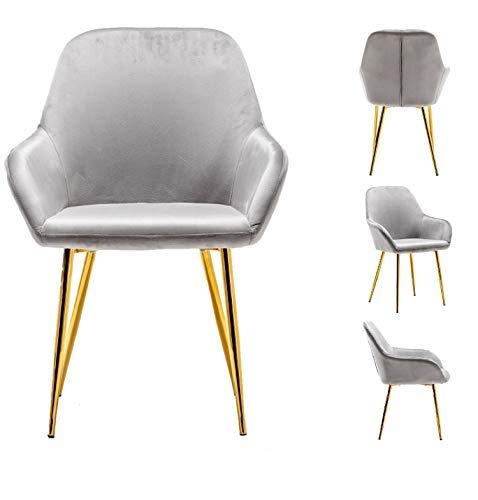BTEXPERT Modern Golden Leg Dark Mid-Back Accent Chairs - Set of 2 Gray Velvet Upholstered Armchairs with Gold Plated Legs for Living Room, Dining Room & Lounge Areas - Perfect for Home Decor, Relaxation and Entertaining Guests