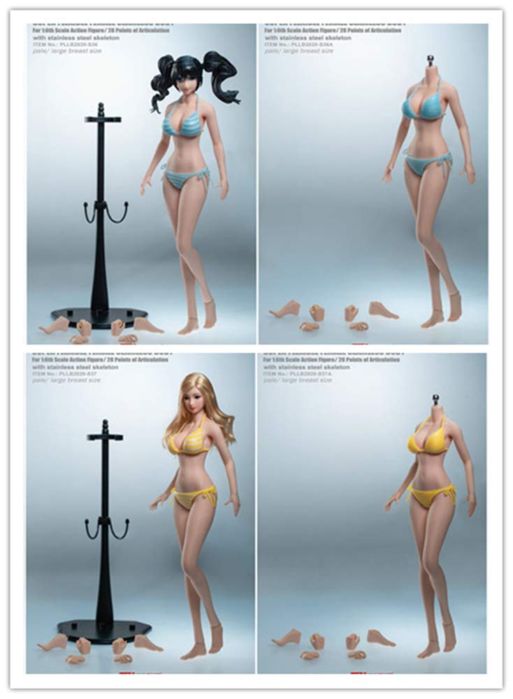 HiPlay TBLeague 1:6 Scale Seamless Anime Girl Action Figure - S36 Pale Skin with Head Sculpt | Realistic Large Bust Body | Perfect for Collectors, Photography & Diorama Displays